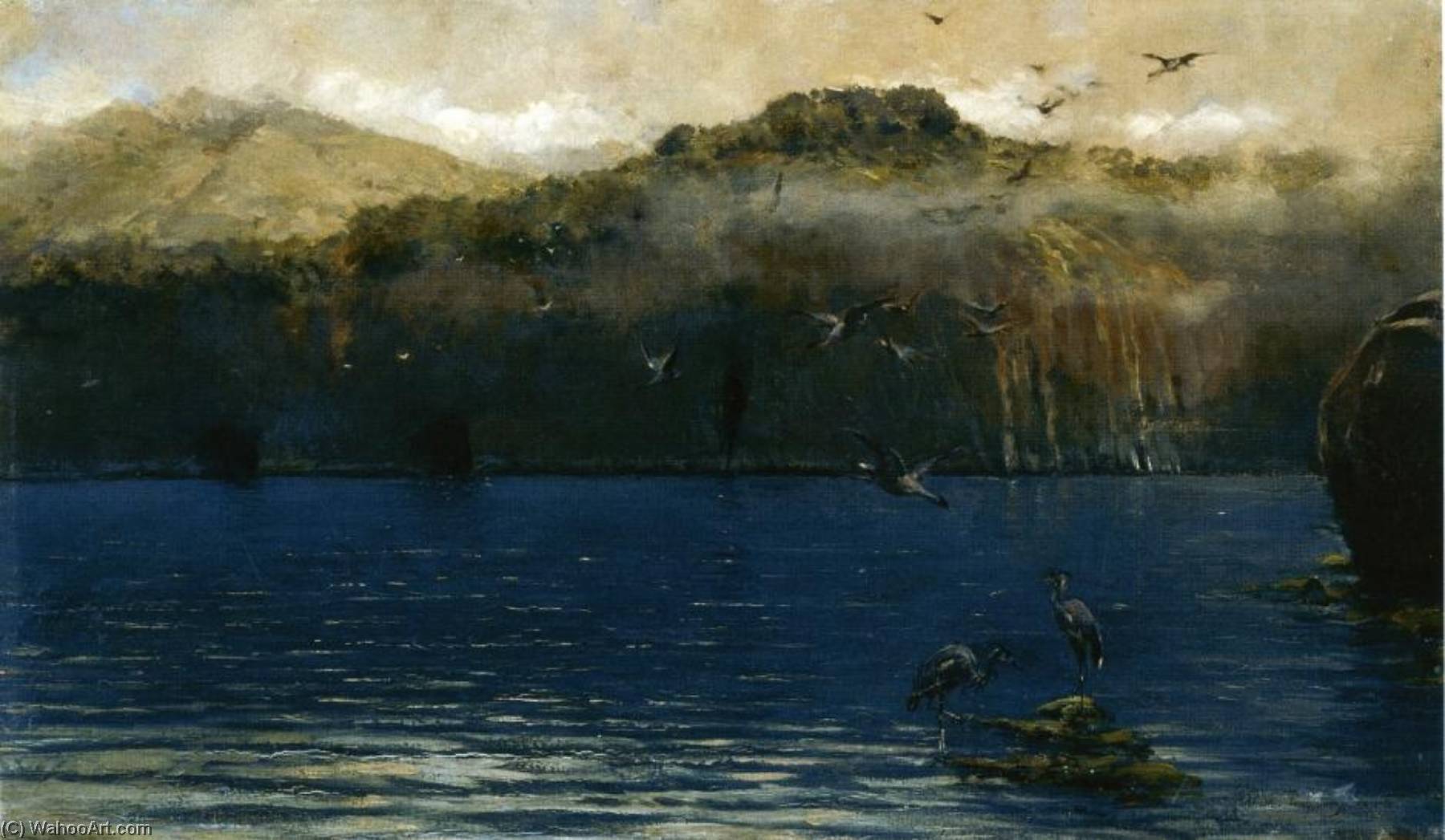 Herons Along The Amalfi Coast — Alceste Campriani