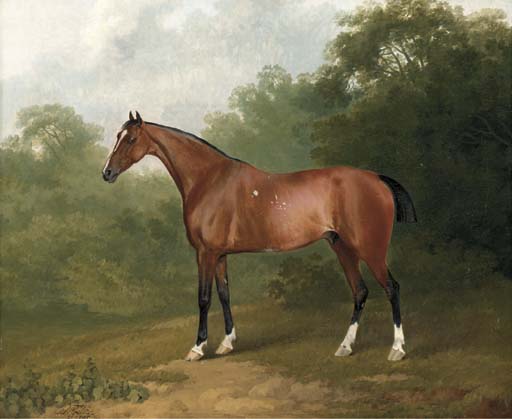 A Bay Horse In A Wooded Landscape — Sawrey Gilpin