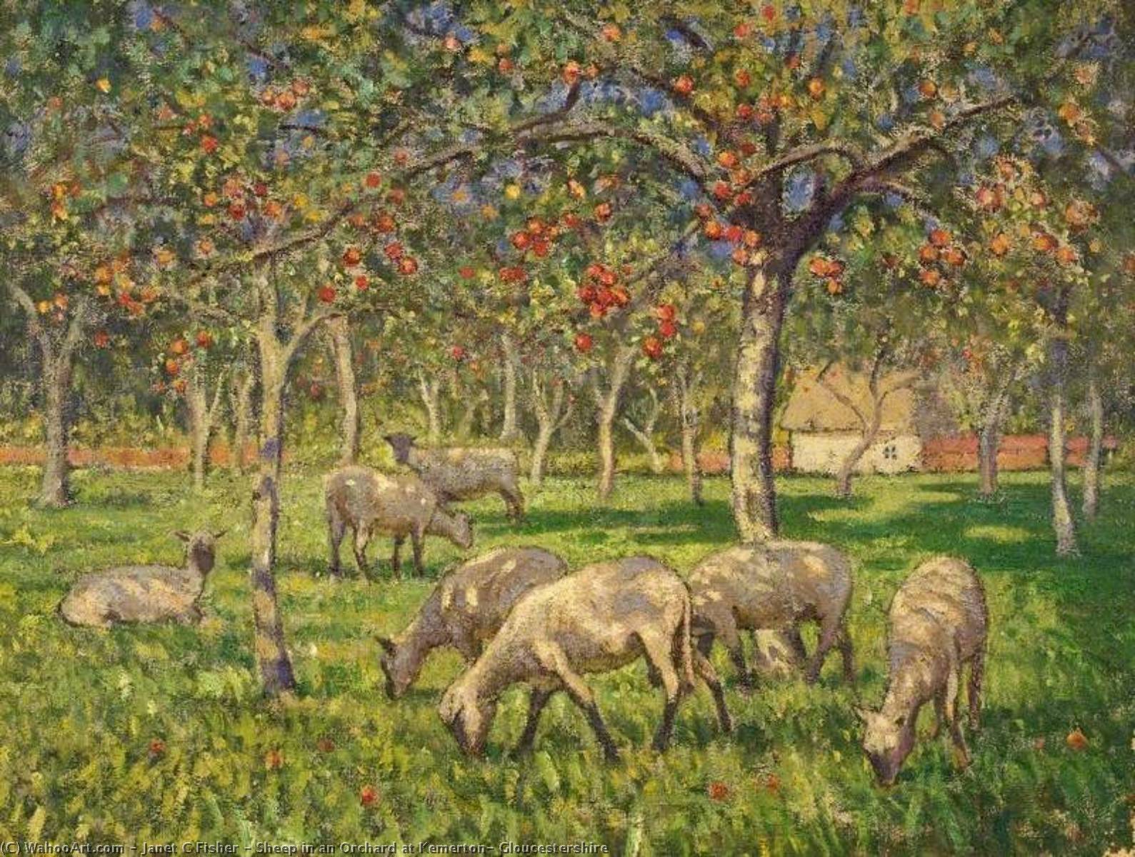 Sheep In An Orchard At Kemerton, Gloucestershire — Janet C Fisher