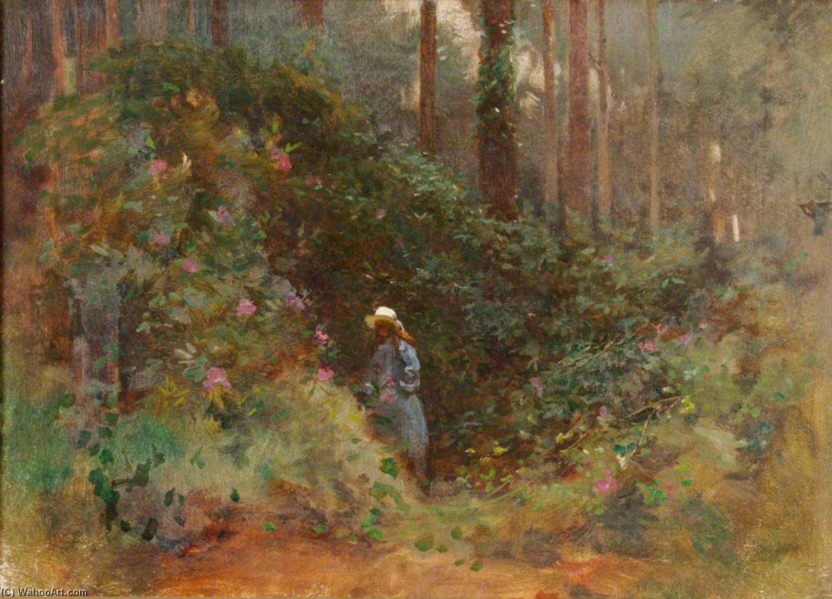 The Rhododendron Wood, Betty In Strete Raleigh Wood — Benjamin Haughton