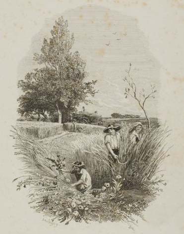 The Child And The Flowers — Charles-françois Daubigny