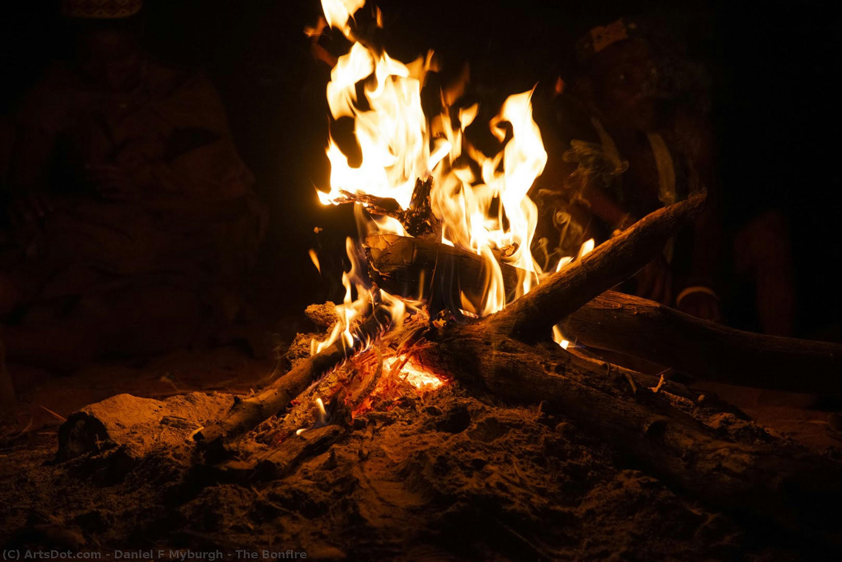 The Bonfire — Daniel F Myburgh