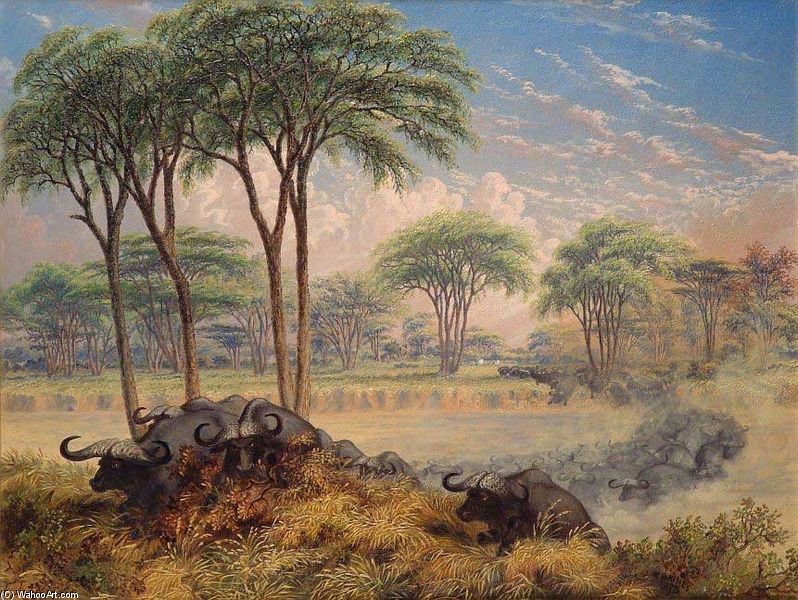 Herd Of Buffalo Chased Across The Macloutsie River — Thomas Baines