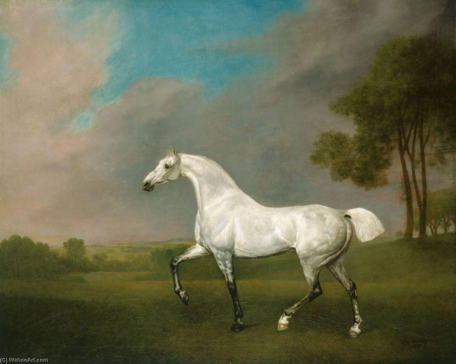 A Grey Horse — George Stubbs