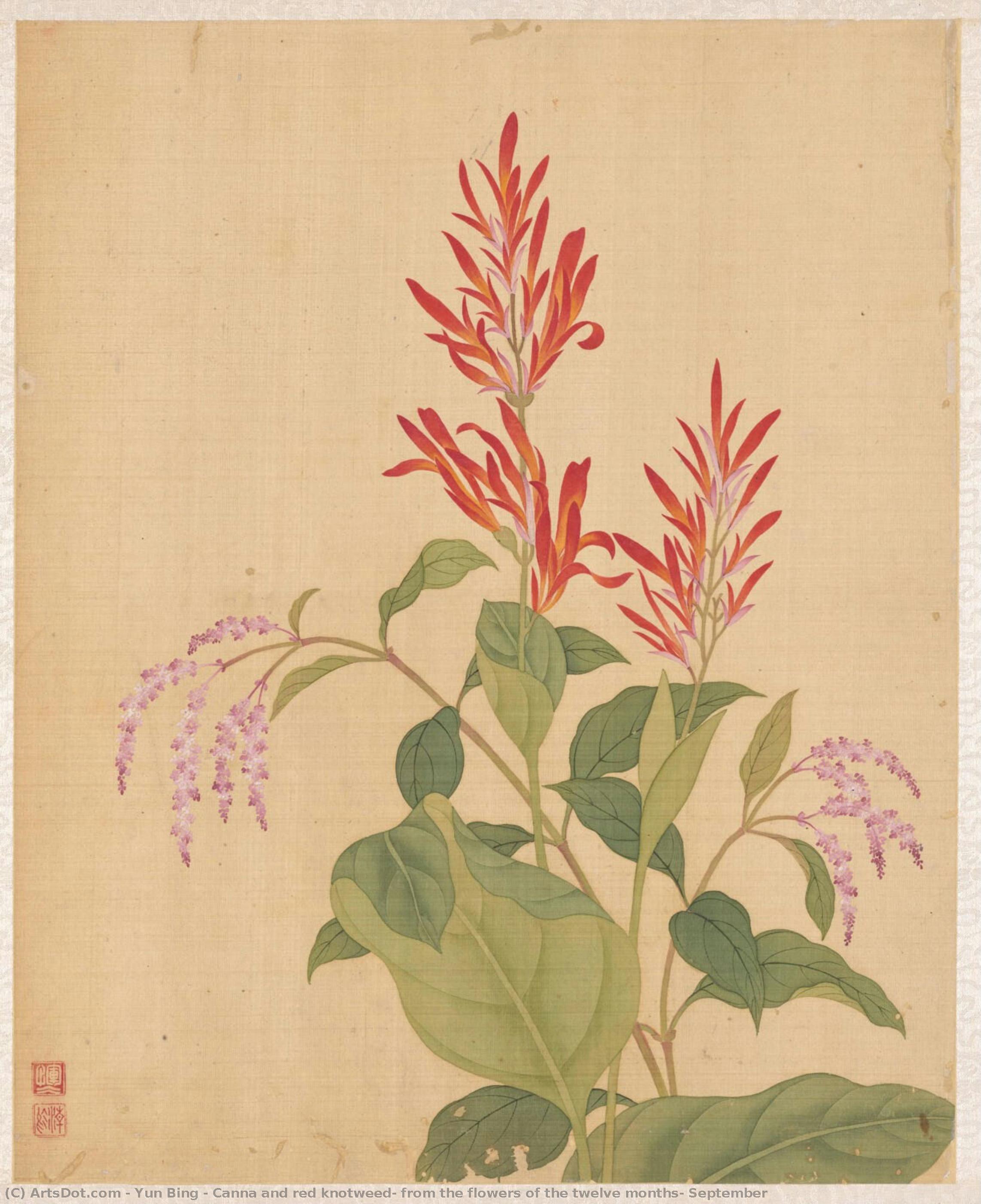 Canna And Red Knotweed, From The Flowers Of The Twelve Months: September — Yun Bing