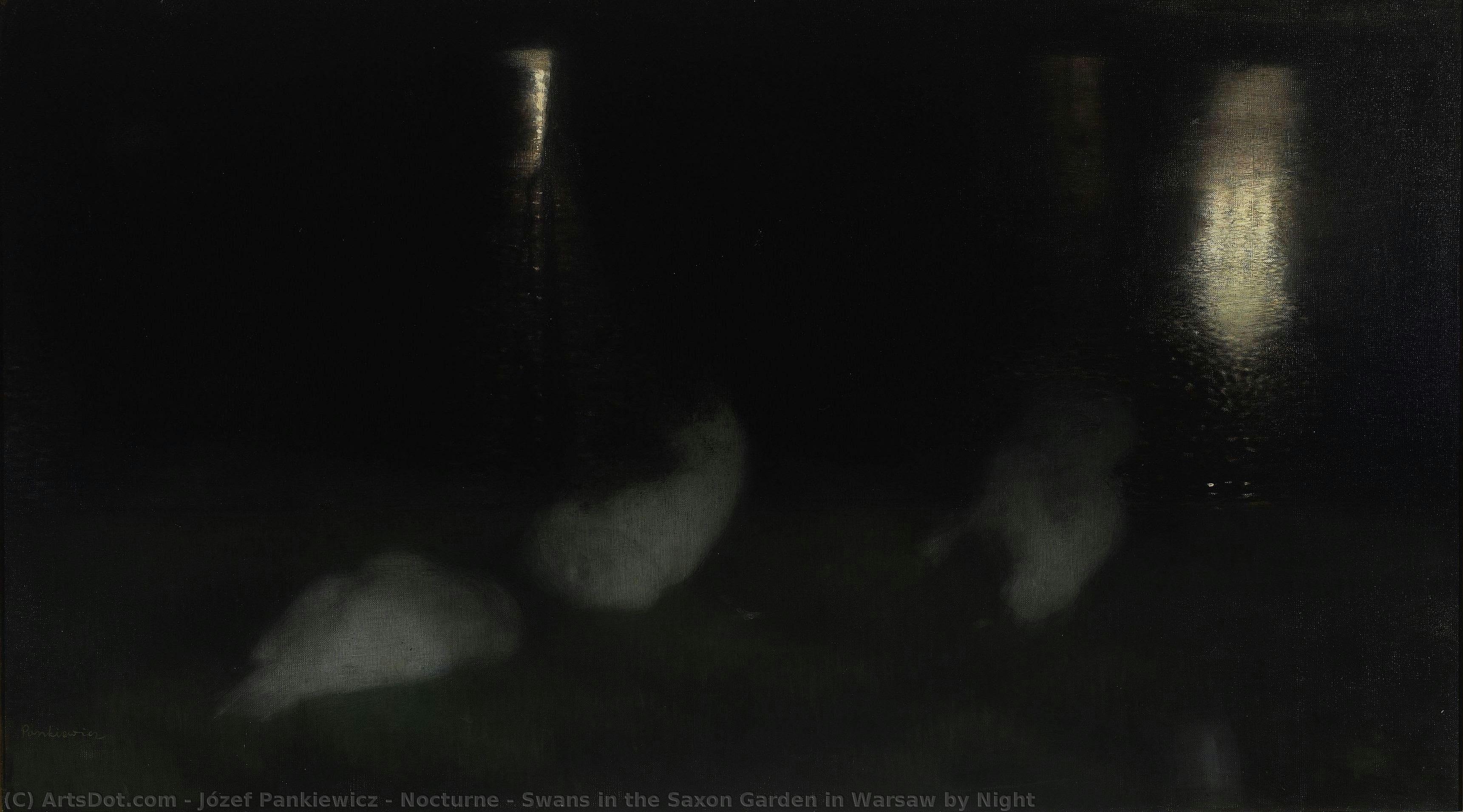 Nocturne – Swans In The Saxon Garden In Warsaw By Night — Józef Pankiewicz