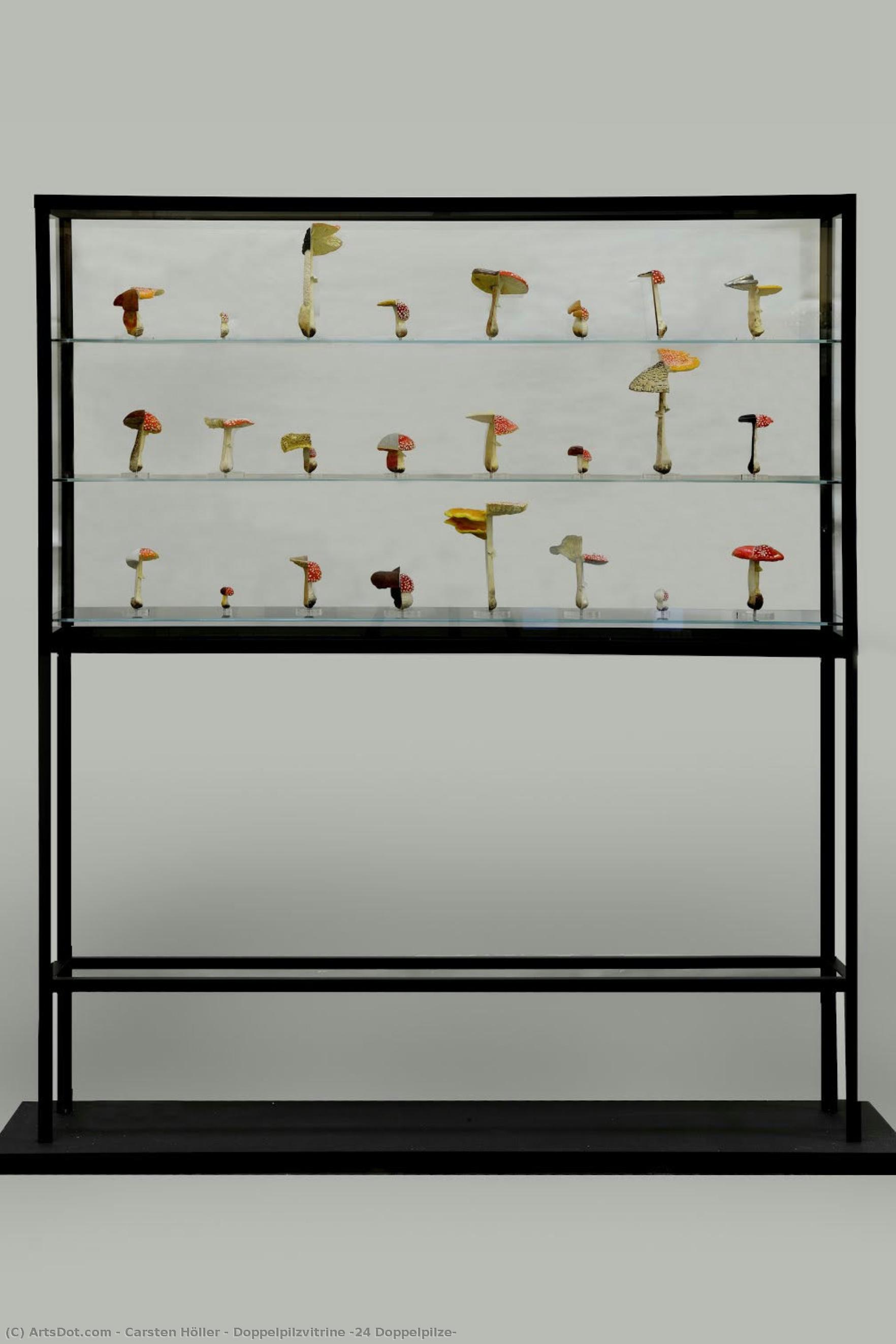 Doppelpilzvitrine (24 Doppelpilze) — Carsten Höller