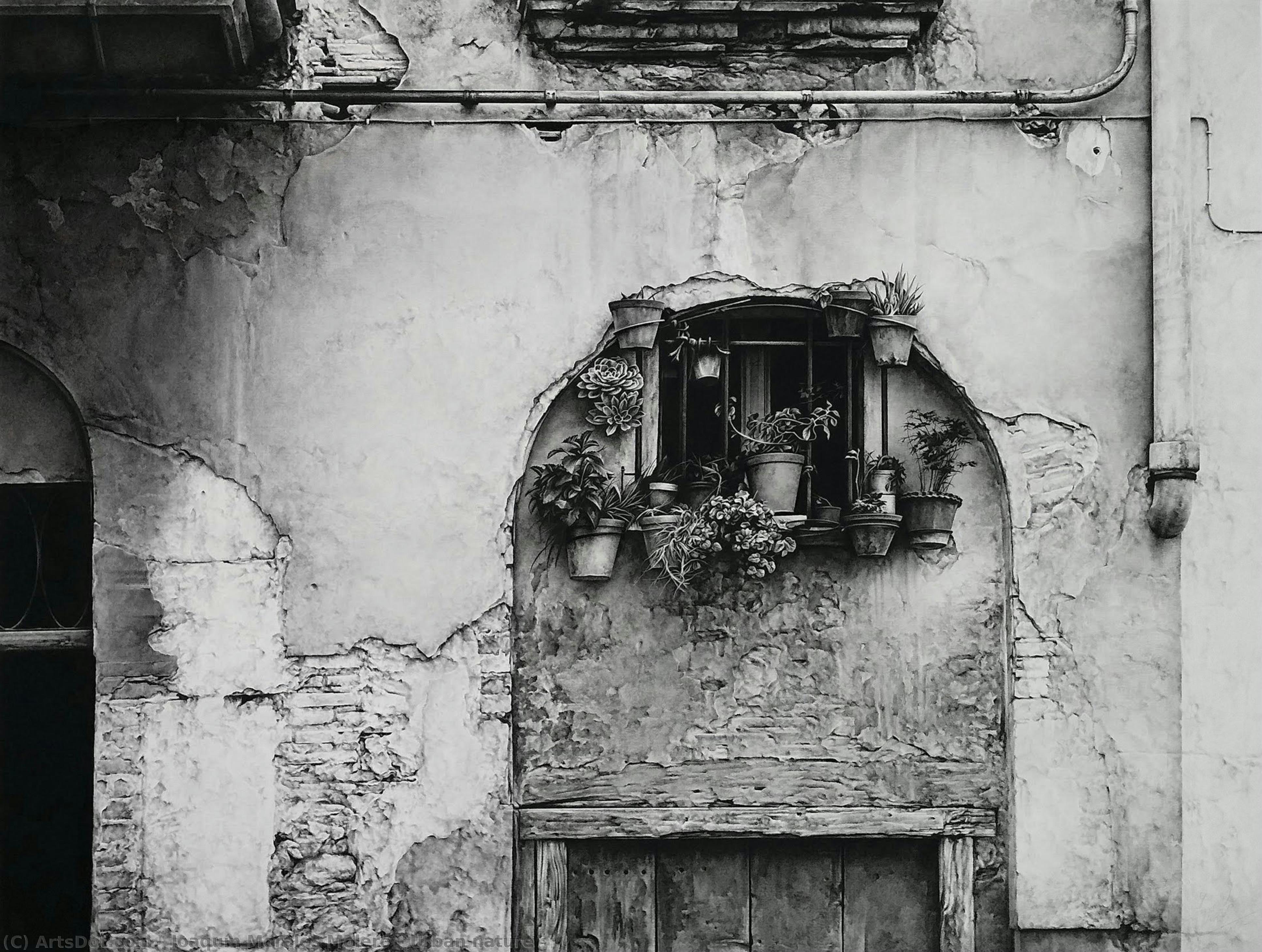 Urban Nature — Joaquín Morales Molero