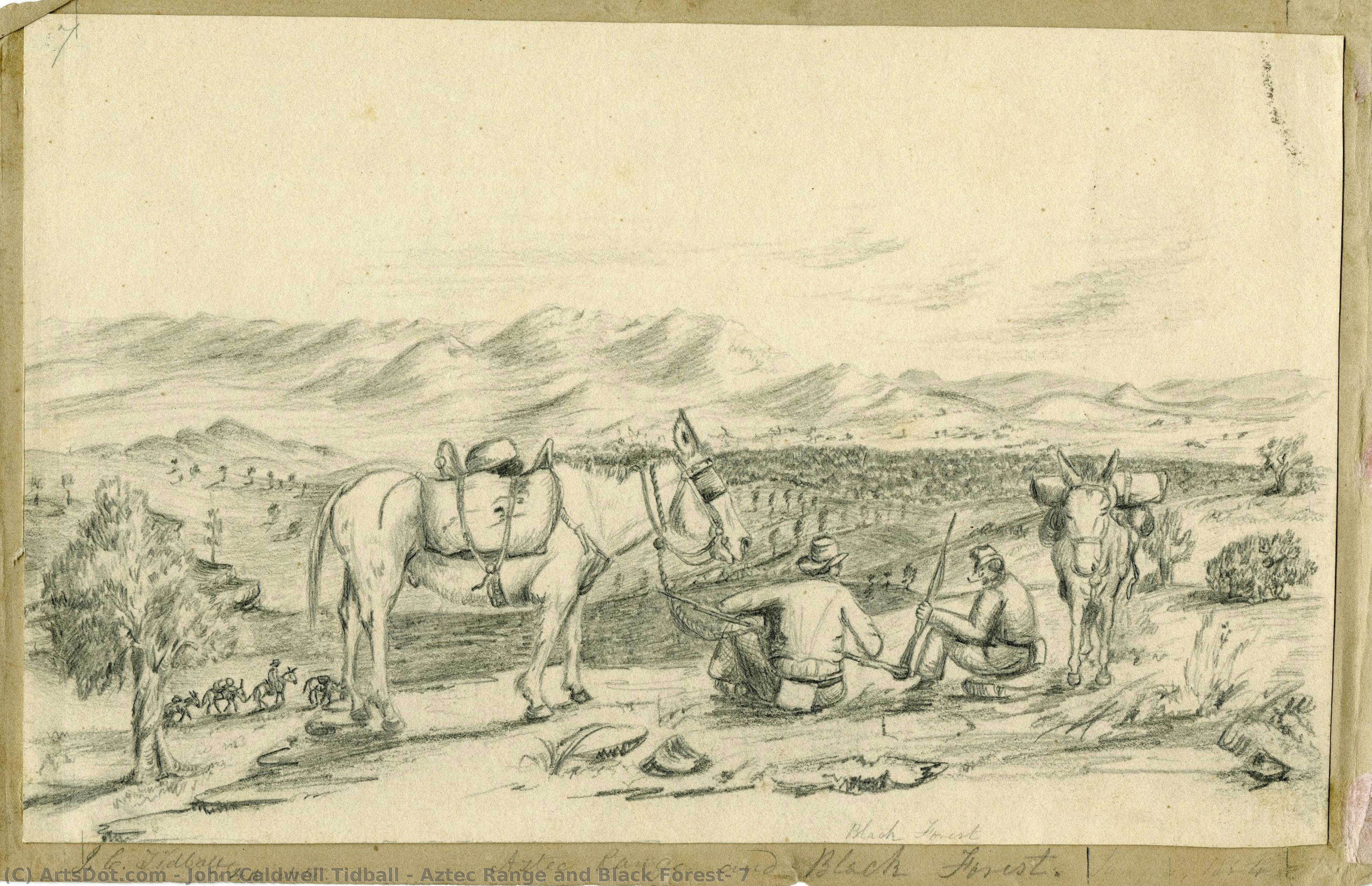 Aztec Range And Black Forest, 7 — John Caldwell Tidball