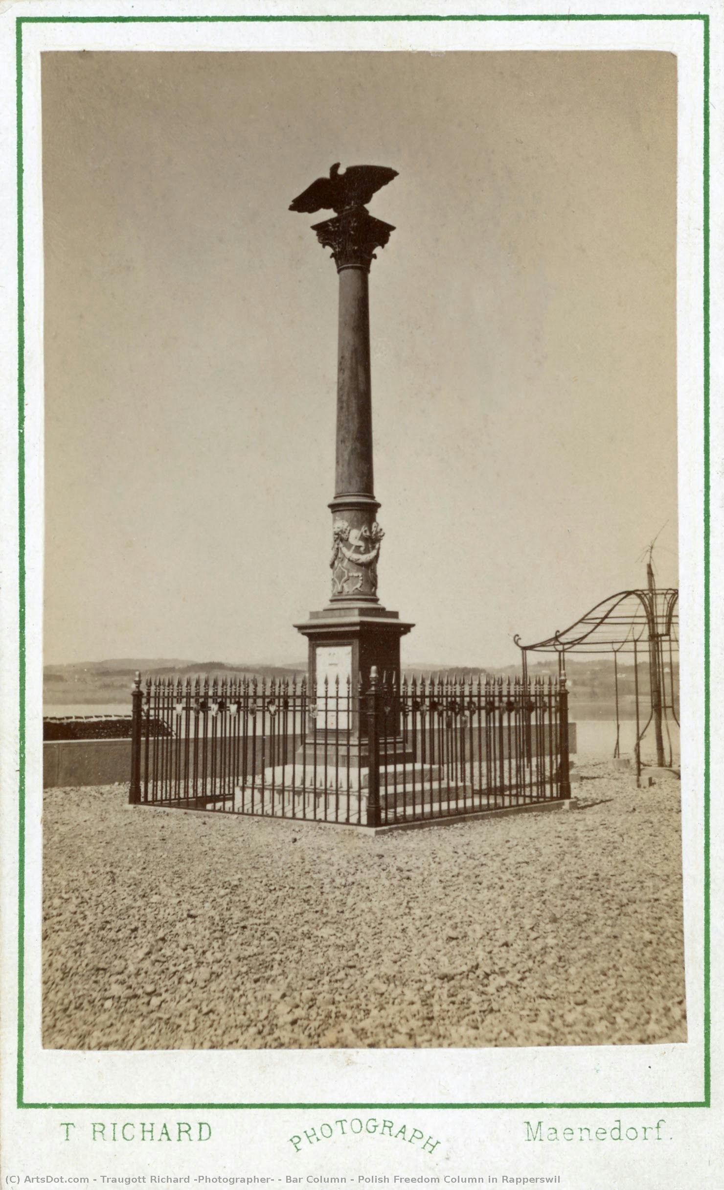 Bar Column / Polish Freedom Column In Rapperswil — Traugott Richard (photographer)