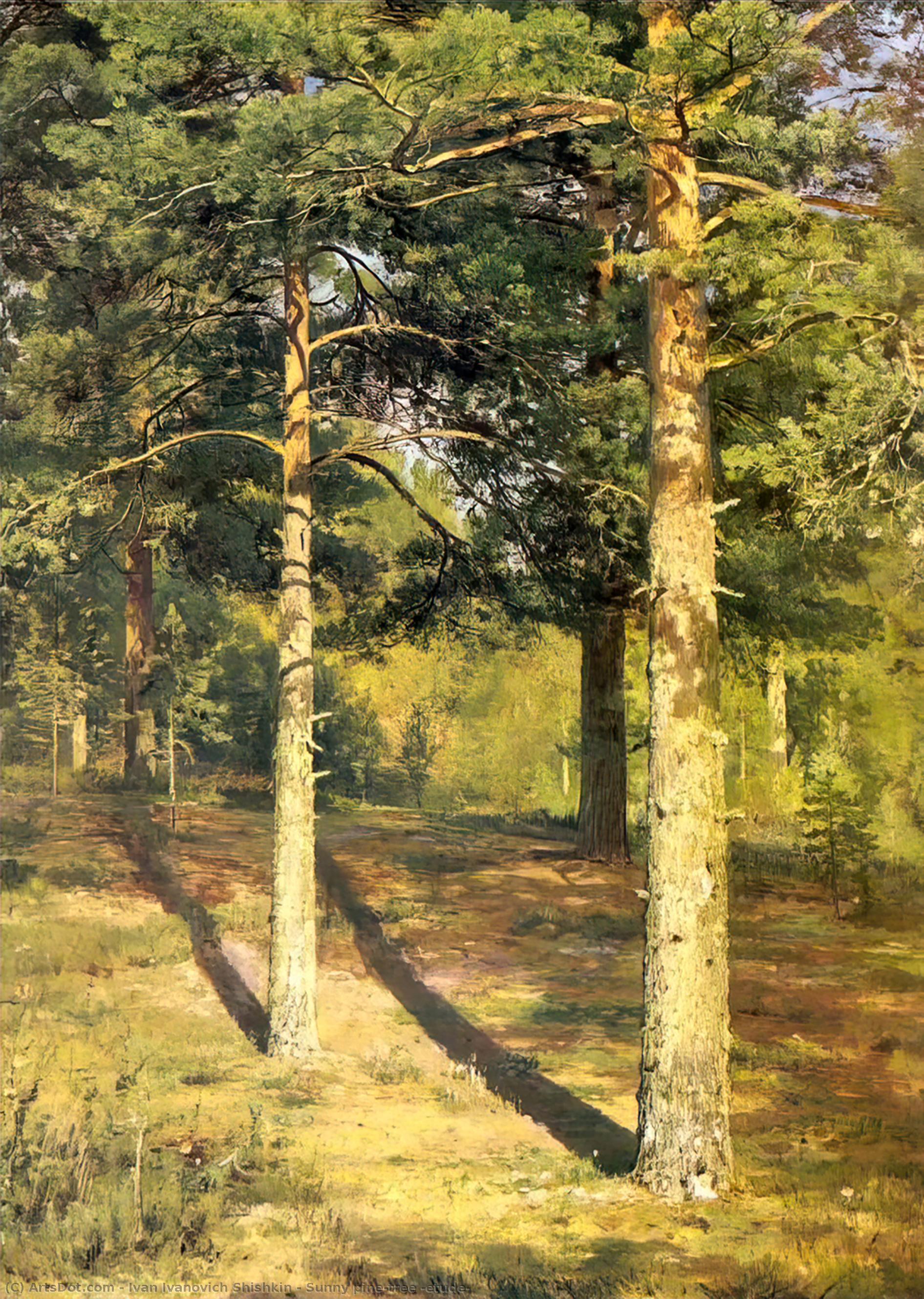 Pino Soleado (estudio) — Ivan Ivanovich Shishkin