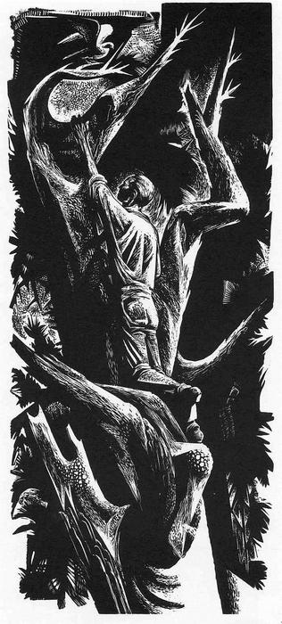 Man Climbing — Lynd Ward