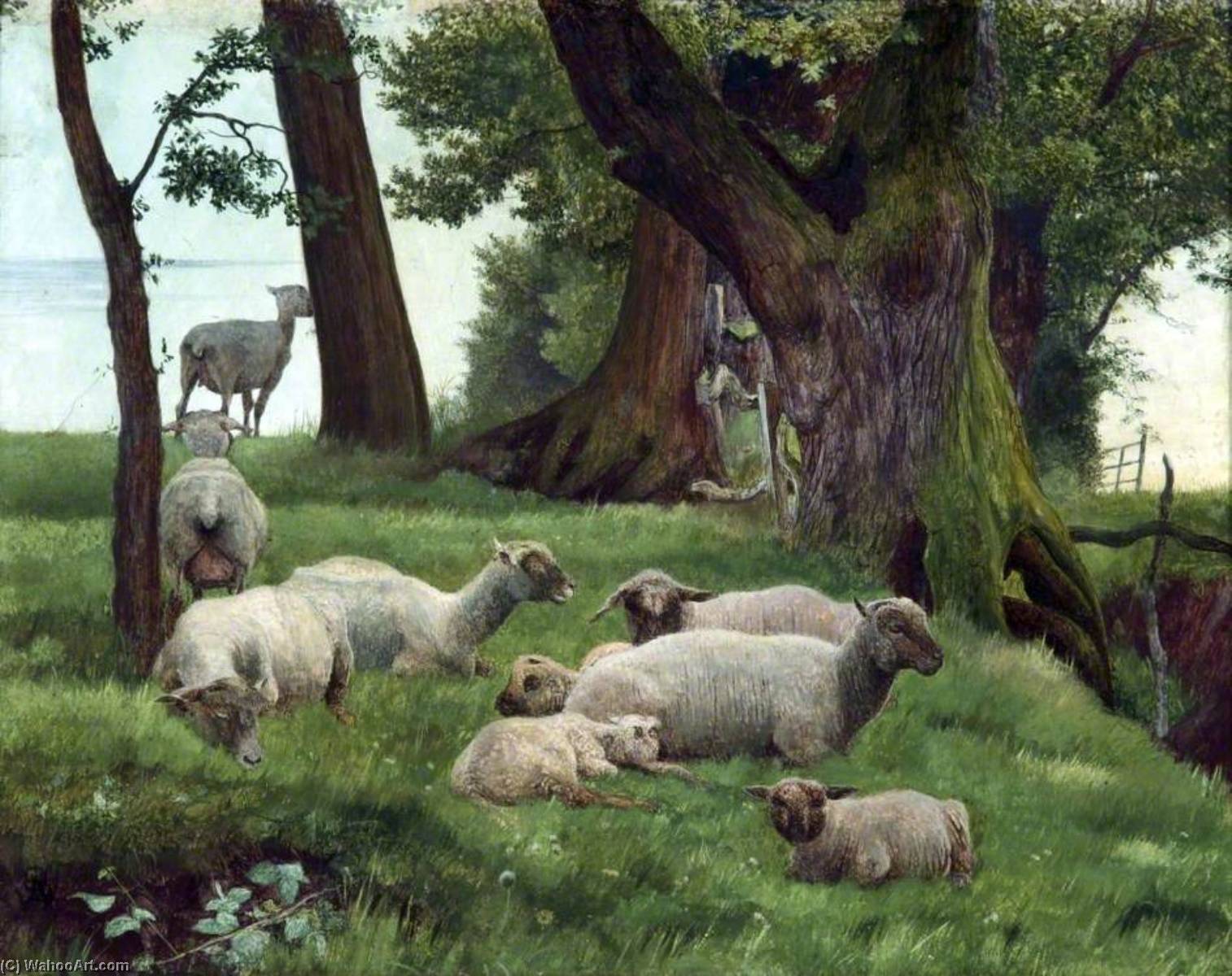 Sheep Resting — Daniel Alexander Williamson