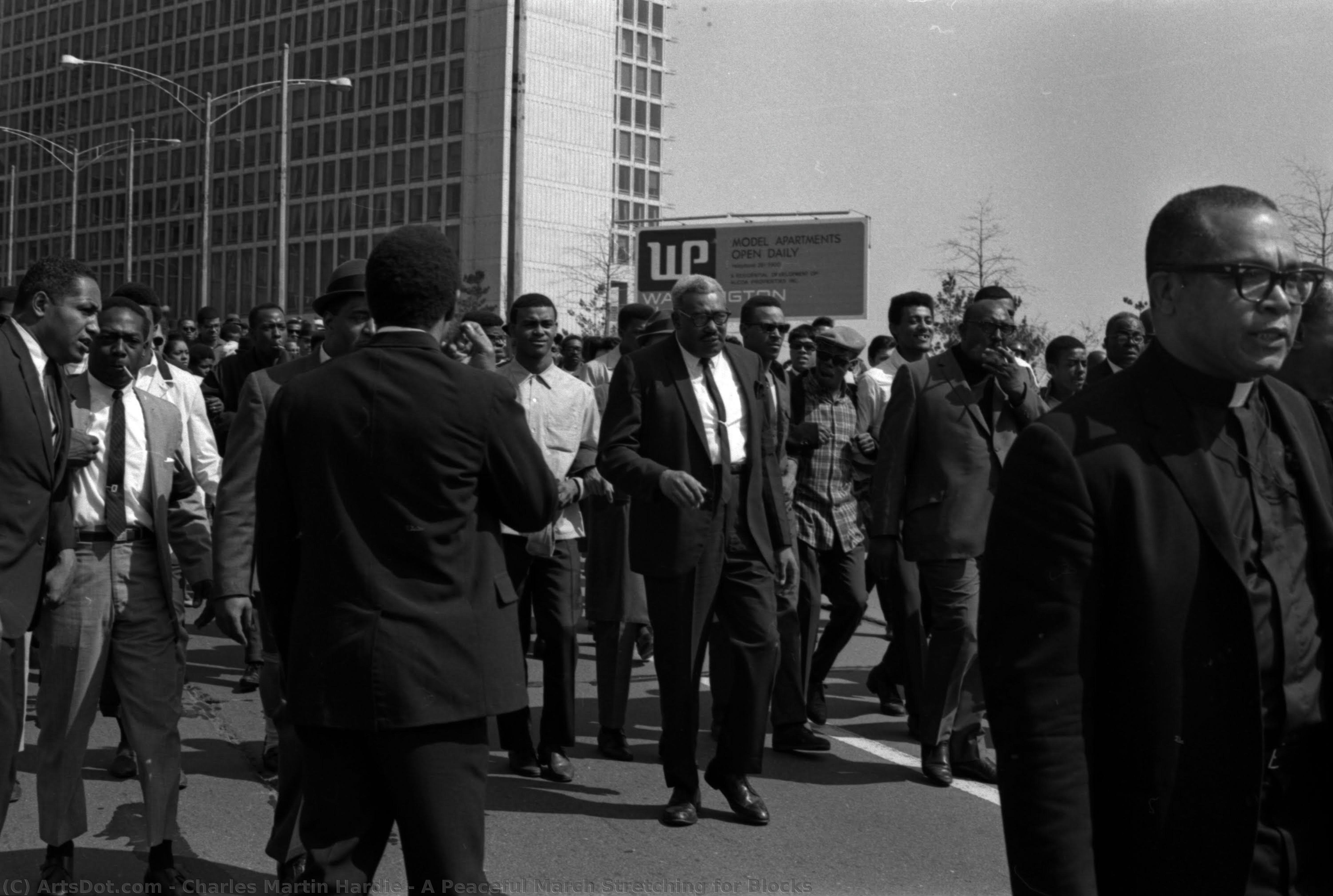 A Peaceful March Stretching For Blocks — Čarls Martin Hardi