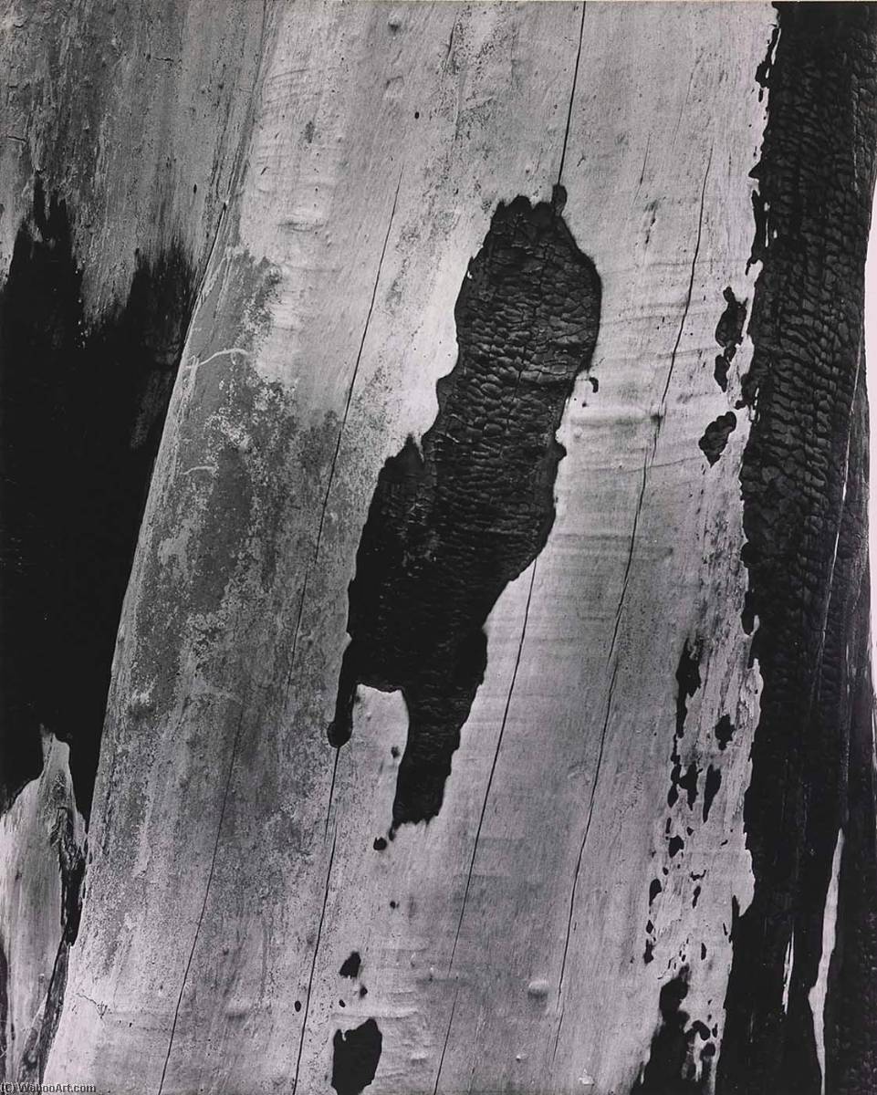 Black Floating Over White — Clarence John Laughlin