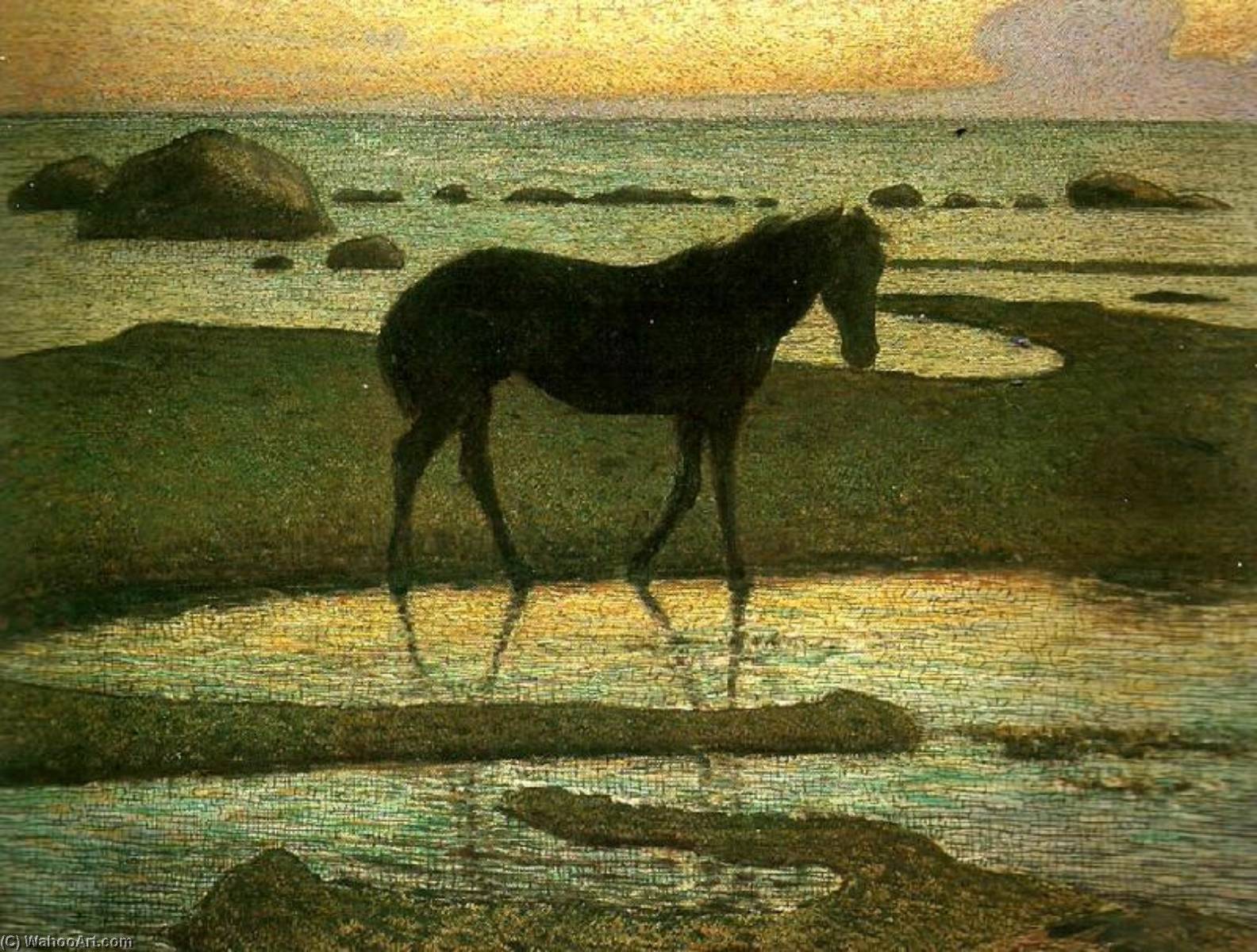 Horse At The Beach — Nils Kreuger