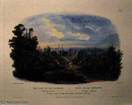 Forest Scene On The Tobihanna, — Karl Bodmer