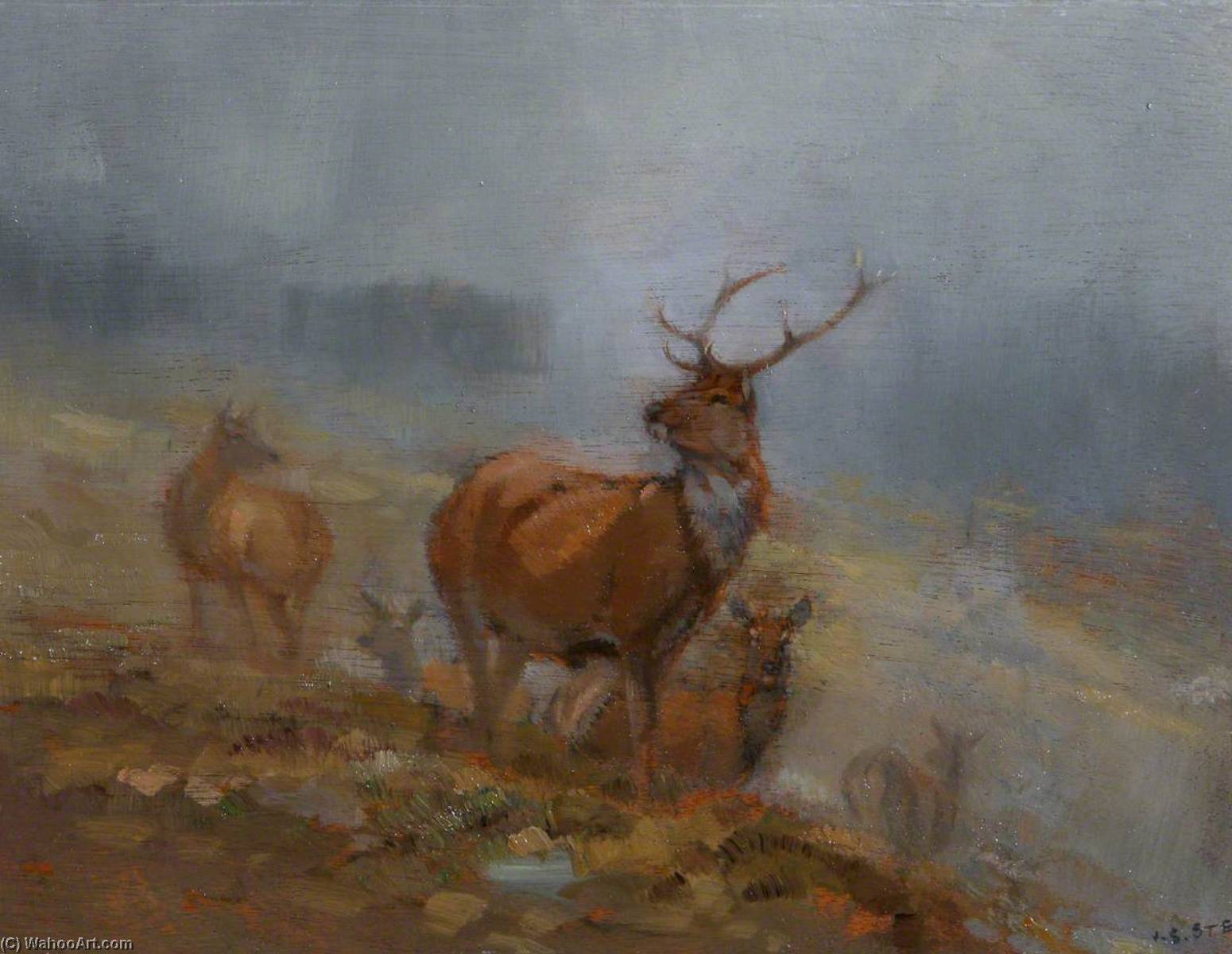 Red Deer — John Sydney Steel