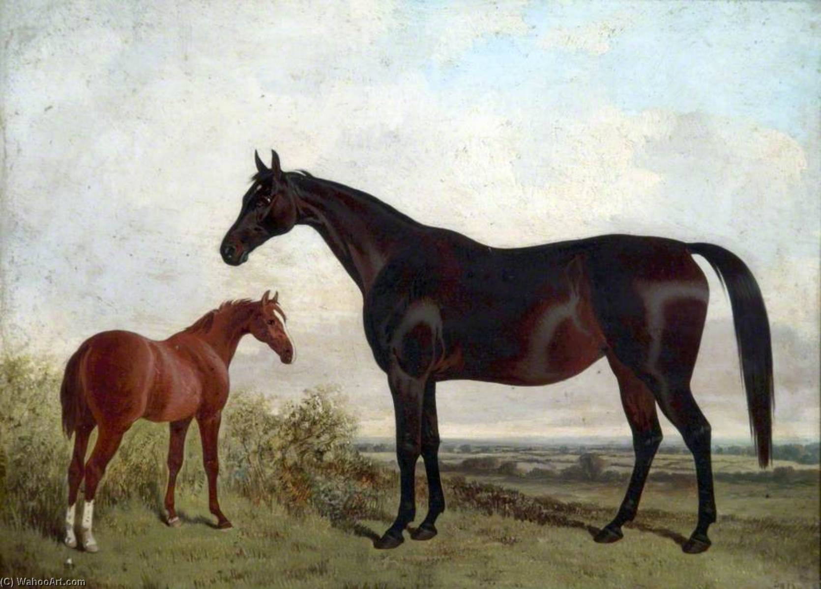 Mare And Foal In A Landscape — John Dalby