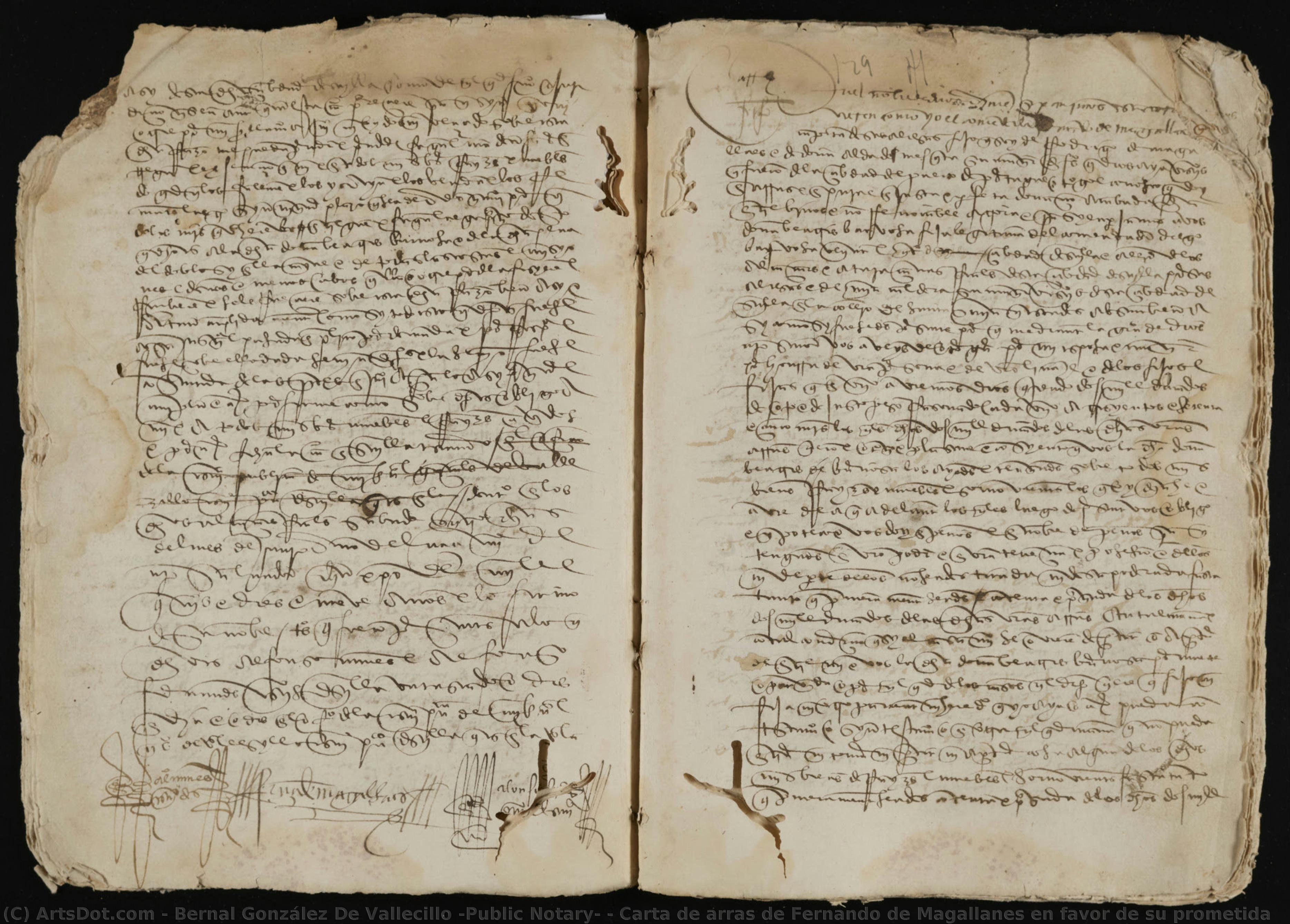 Carta De Arras De Fernando De Magallanes En Favor De Su Prometida — Bernal González De Vallecillo (public Notary)
