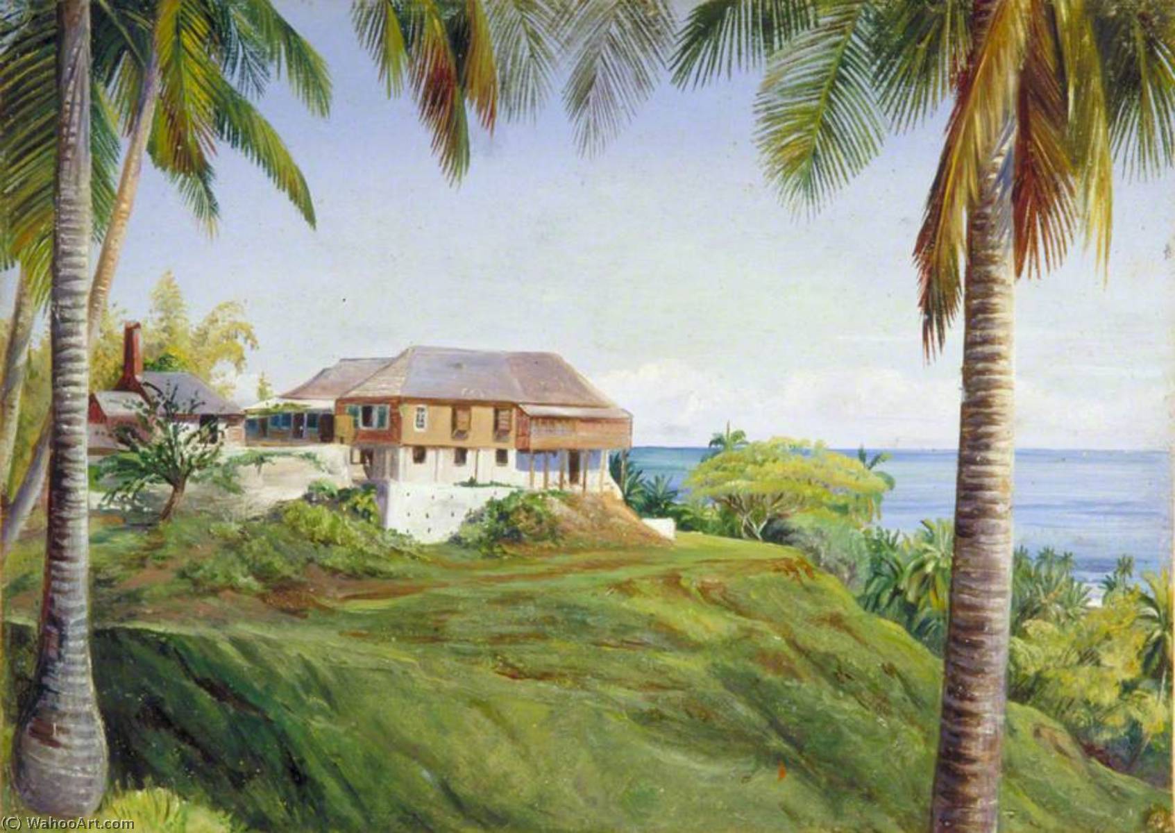 Spring Gardens, Jamaika, Mit Seinen Kokospalmen — Marianne North