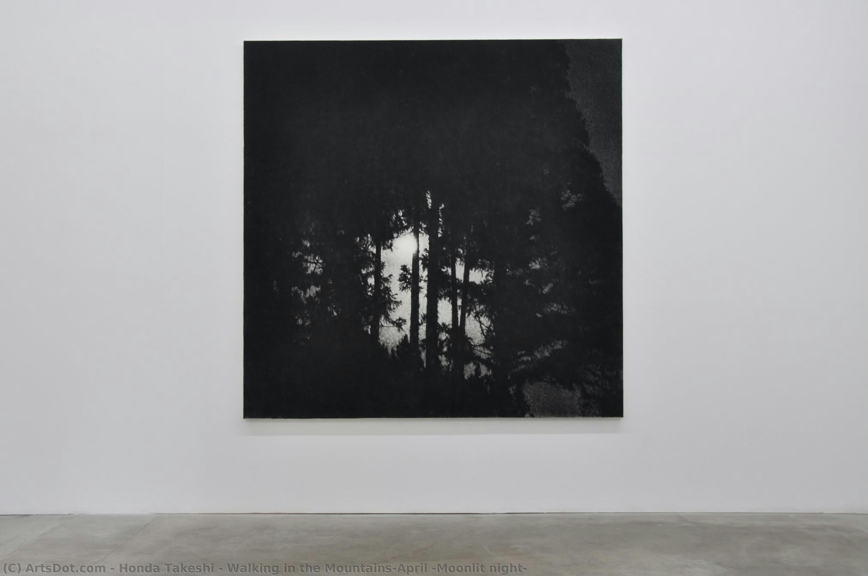 Walking In The Mountains-april (moonlit Night) — Honda Takeshi