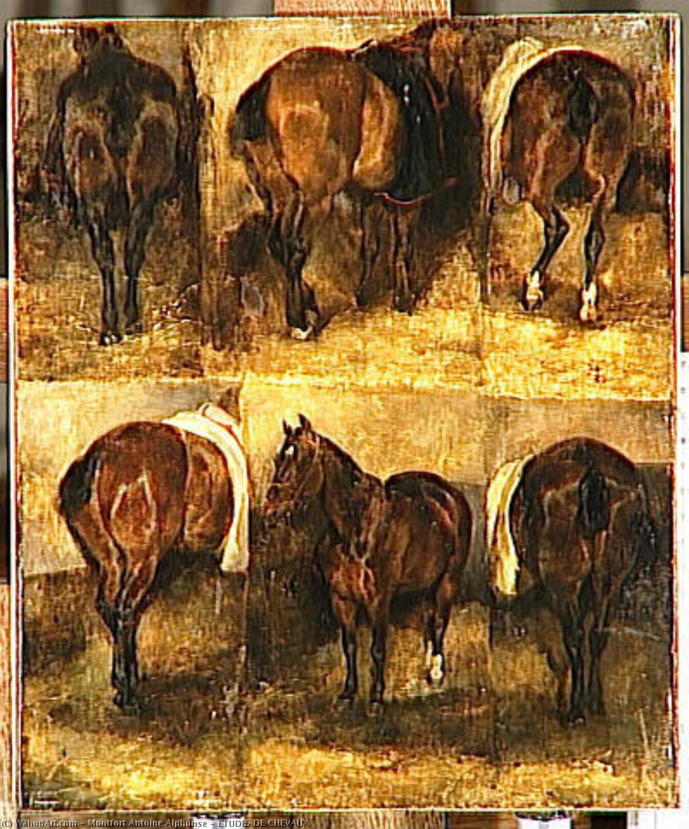 Etudes De Chevaux — Montfort Antoine Alphonse