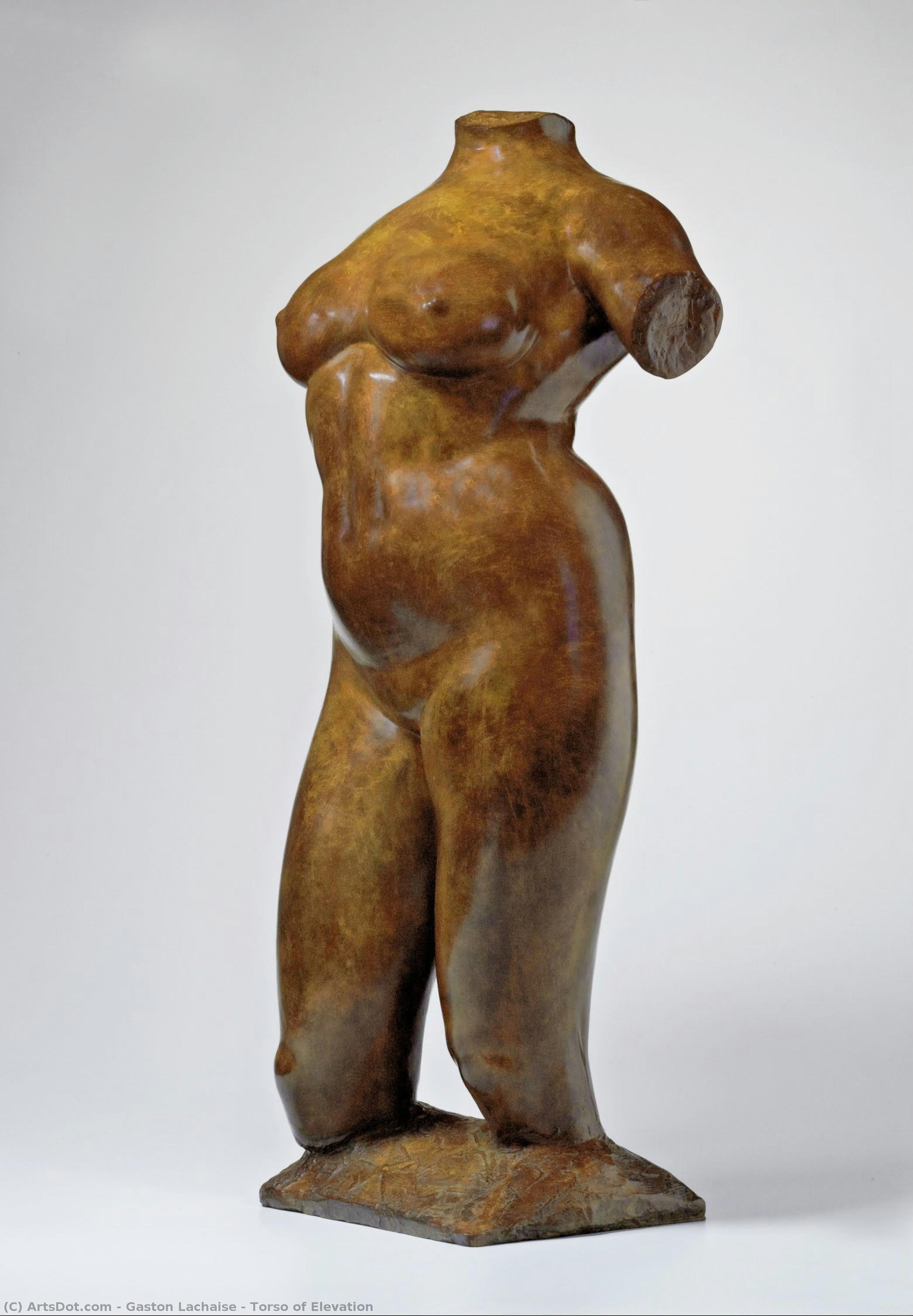 Torso Of Elevation — Gaston Lachaise