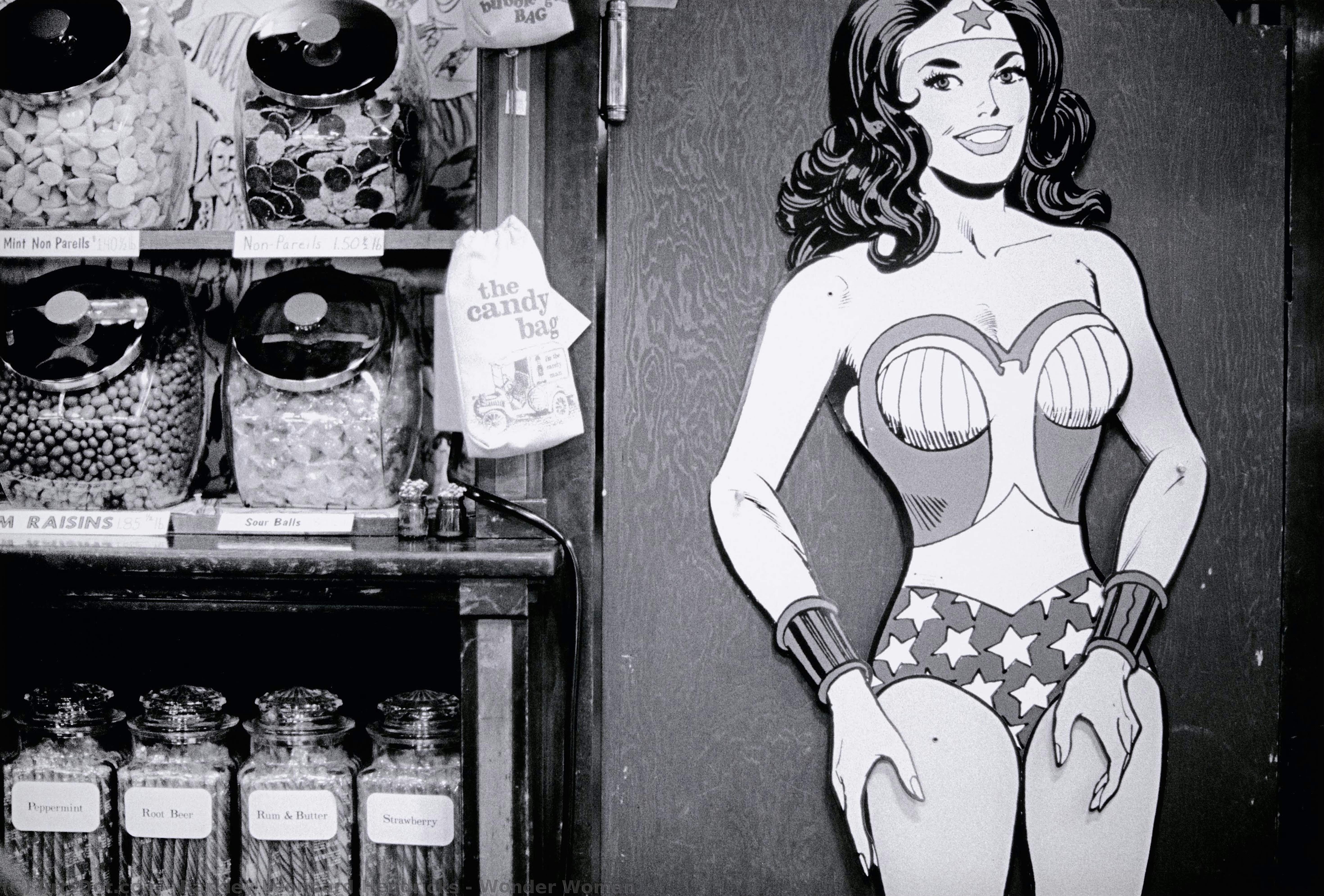Wonder Woman — Barkley Leonard Hendricks