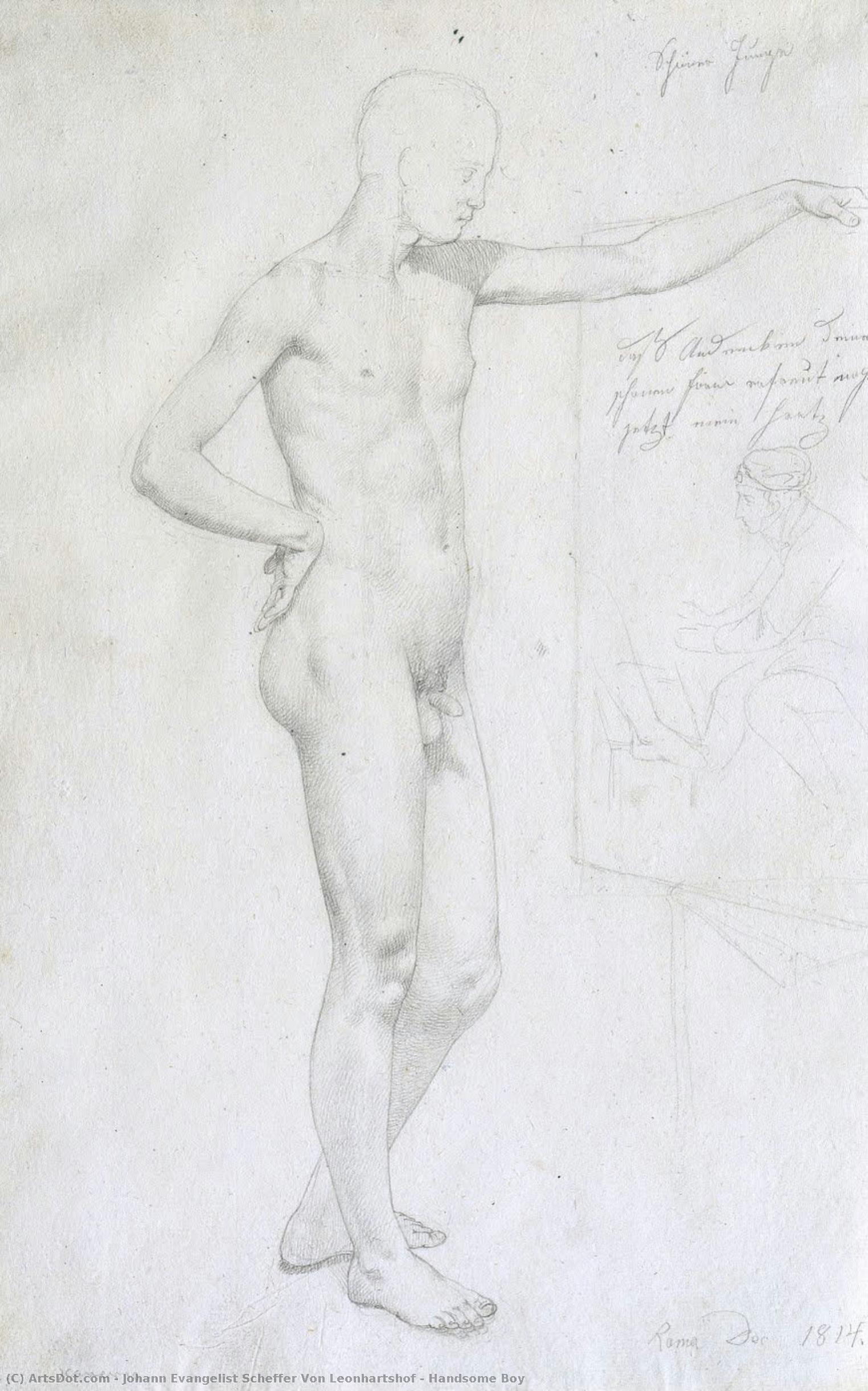 Handsome Boy — Johann Evangelist Scheffer Von Leonhartshof
