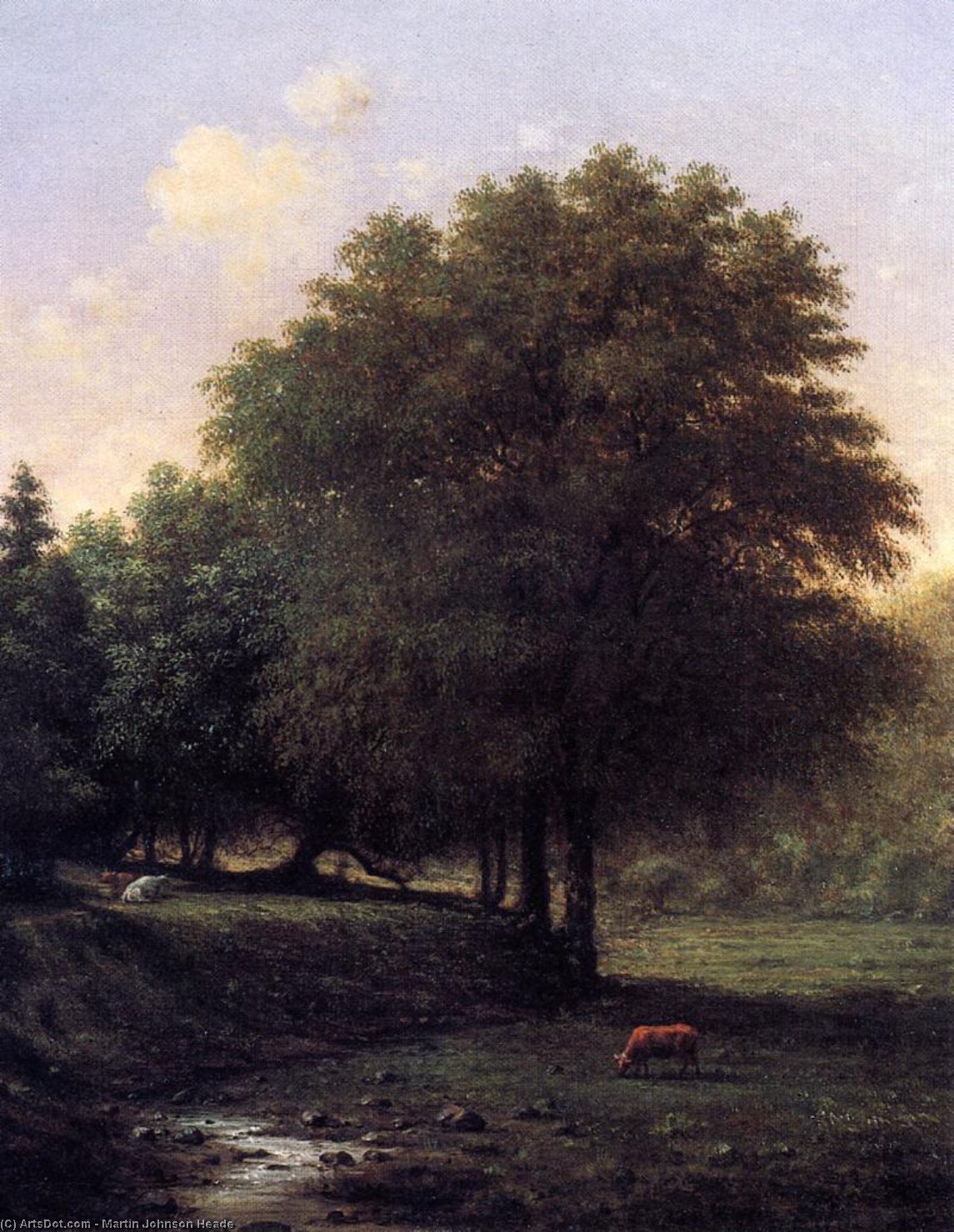 Summer Landscape With Cattle — Мартин Джонсон Хед