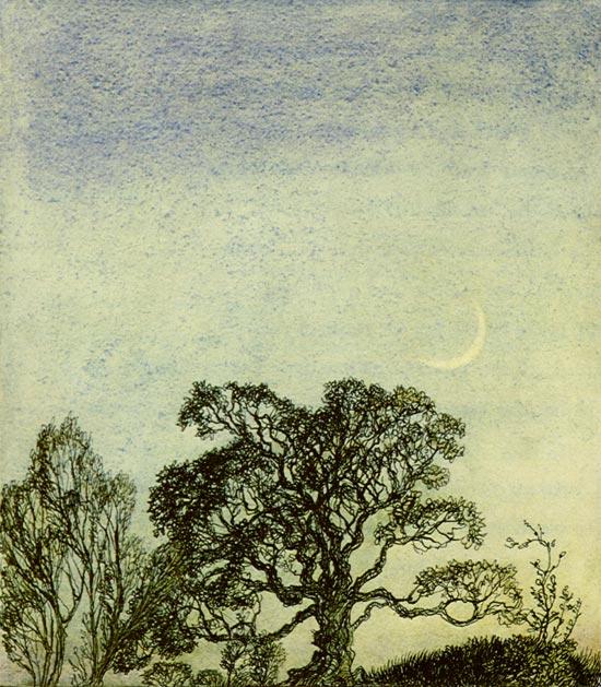 A Midsummer Night's Dream Moonlight In The Wood — Arthur Rackham