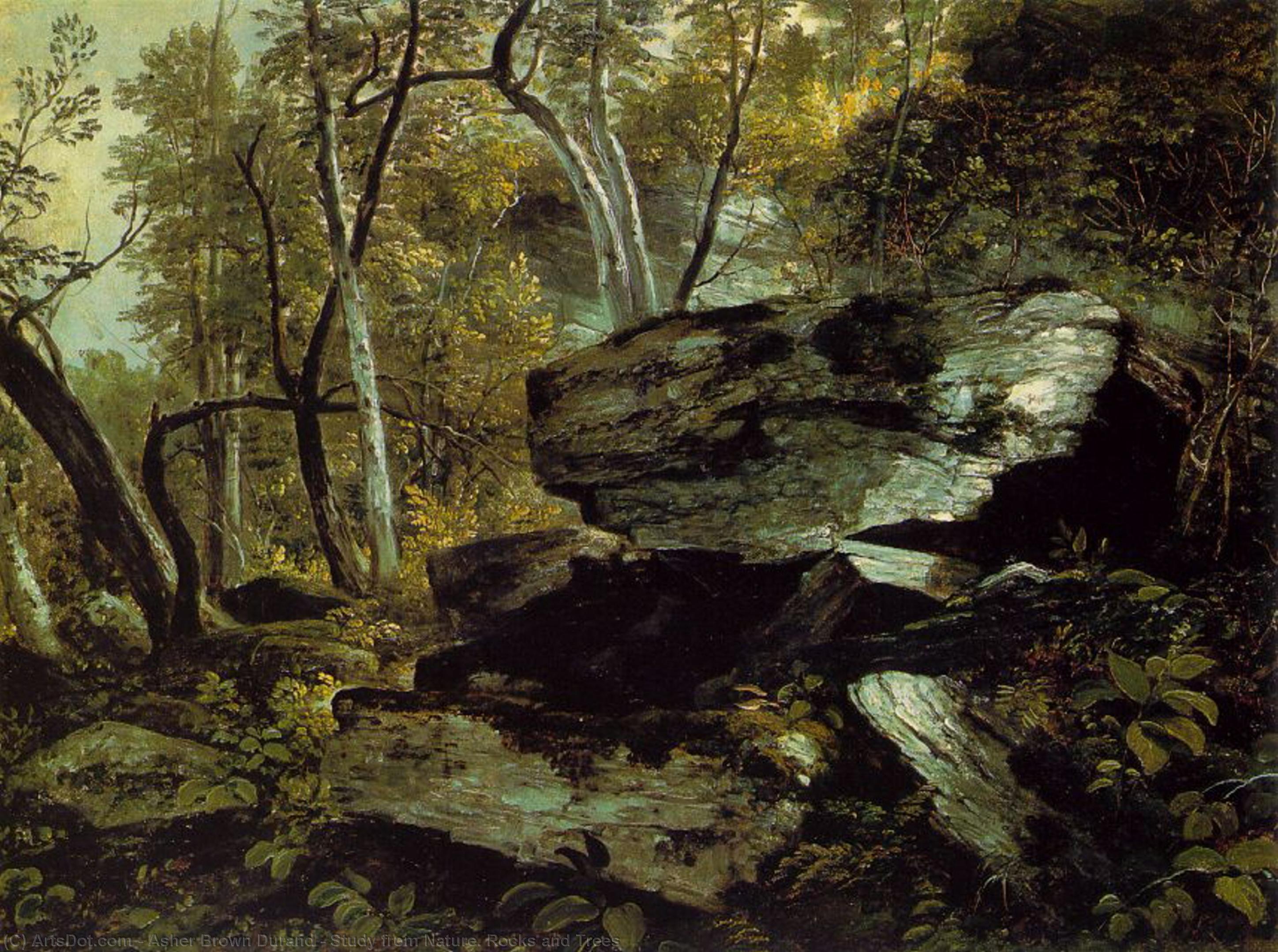 Study From Nature. Rocks And Trees — アッシャー・ブラウン・デュランド