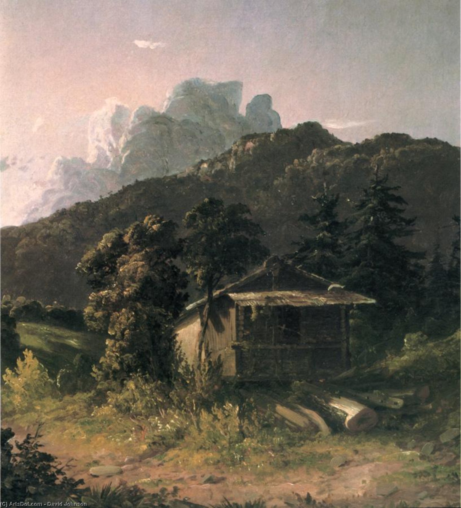 House In The Adirondacks — David Johnson