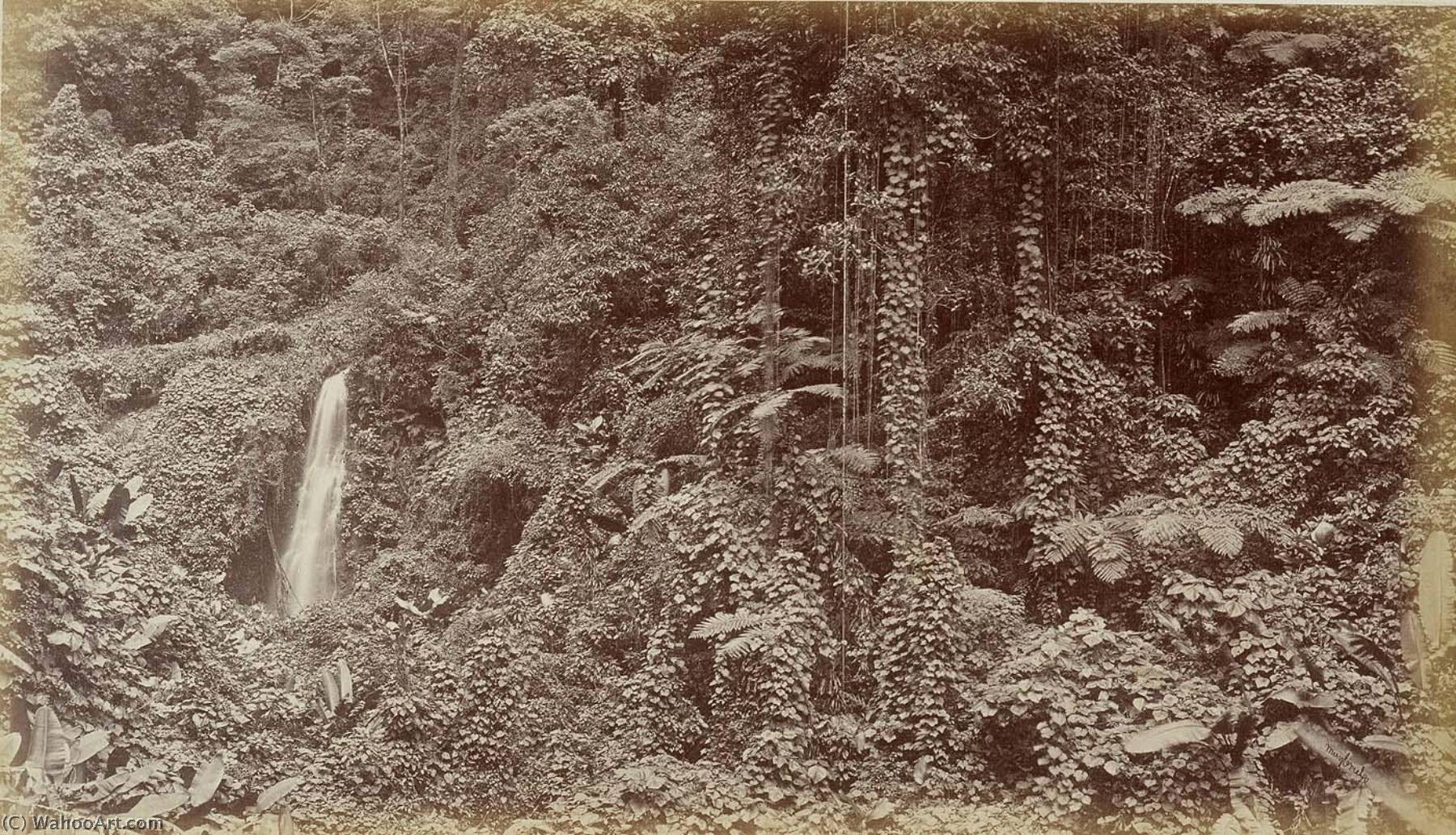 Falls Of The Oroyo Delia Las Nubes, Guatemala — Eadweard J Muybridge