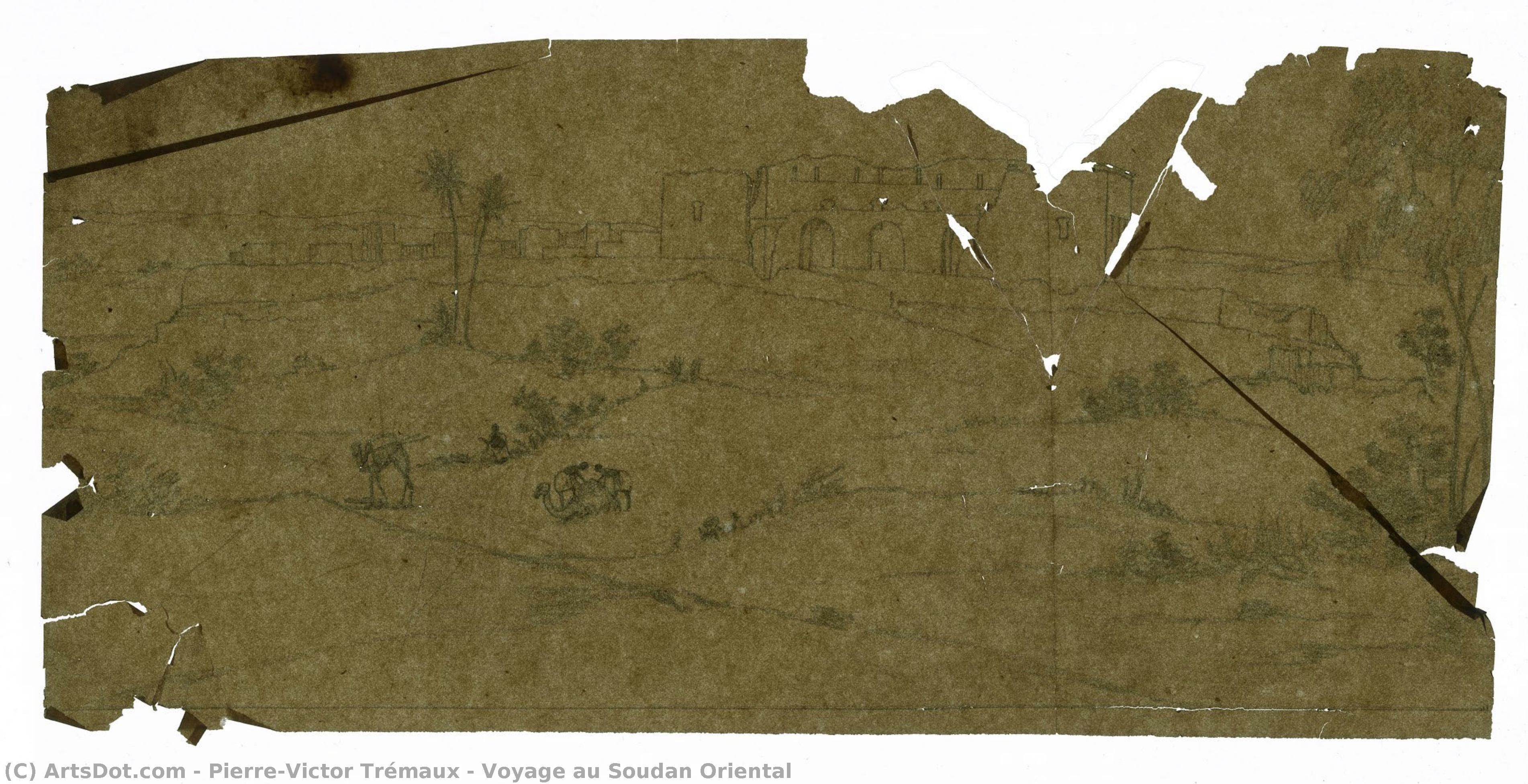 Voyage Au Soudan Oriental — Pierre-victor Trémaux