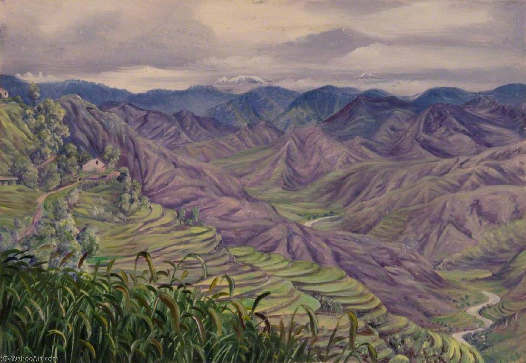 From Almorah, Kumaon, India — Marianne North
