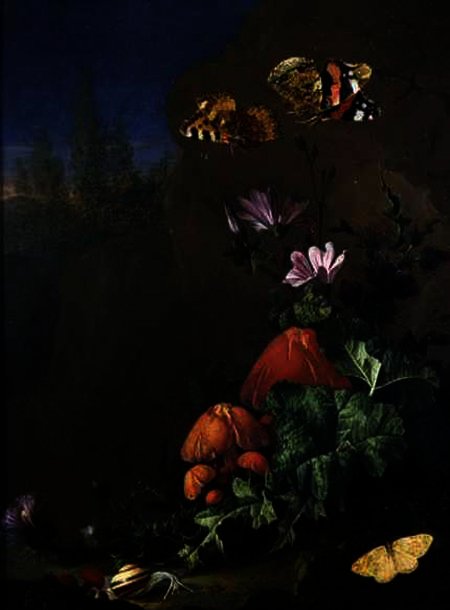 Still Life Of Forest Floor With Flowers, Mushrooms And Snails — Elias Van Den Broeck