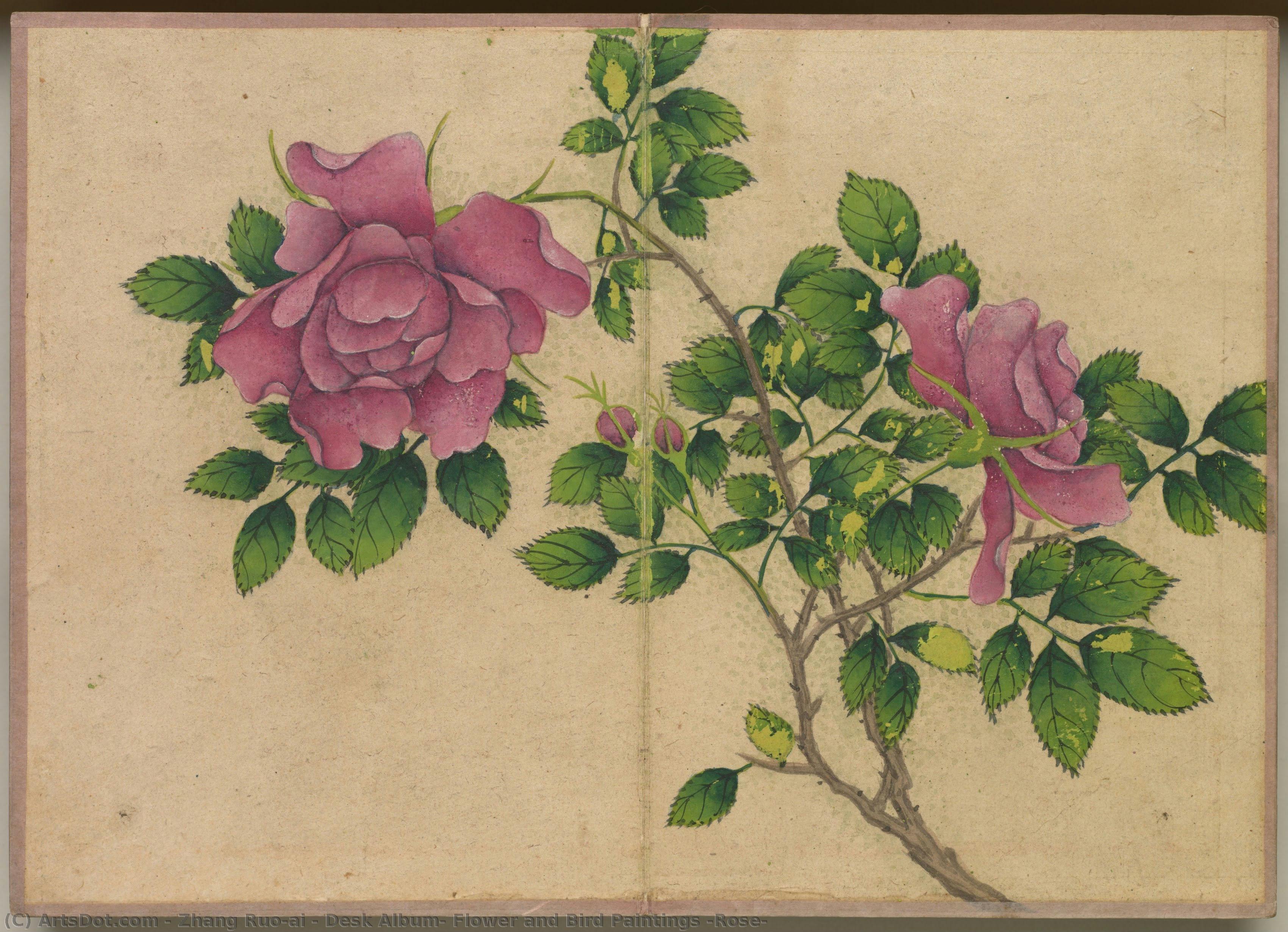 Desk Album: Flower And Bird Paintings (rose) — Zhang Ruo'ai
