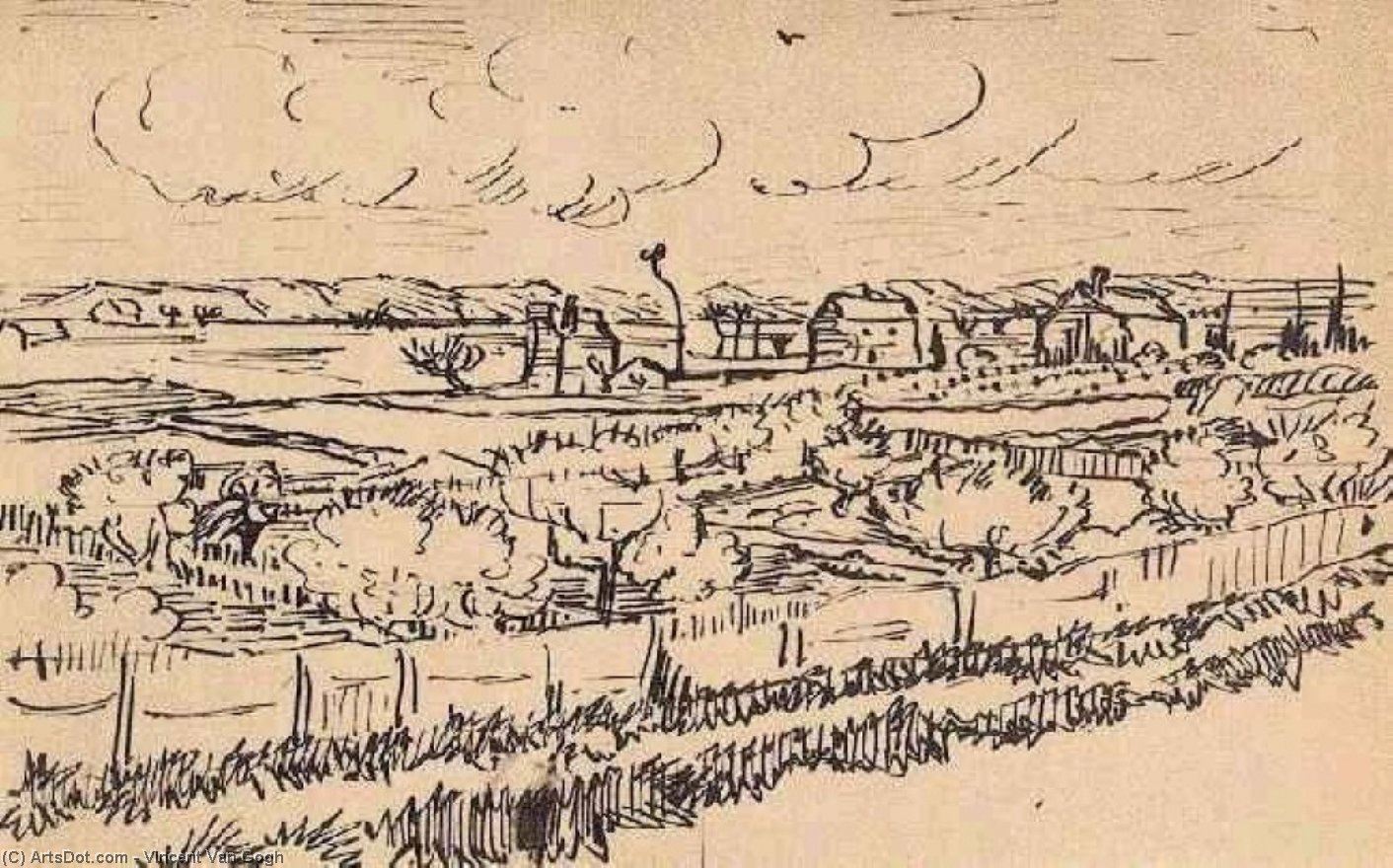 La Crau With Peach Trees In Bloom Letters — Vincent Willem Van Gogh