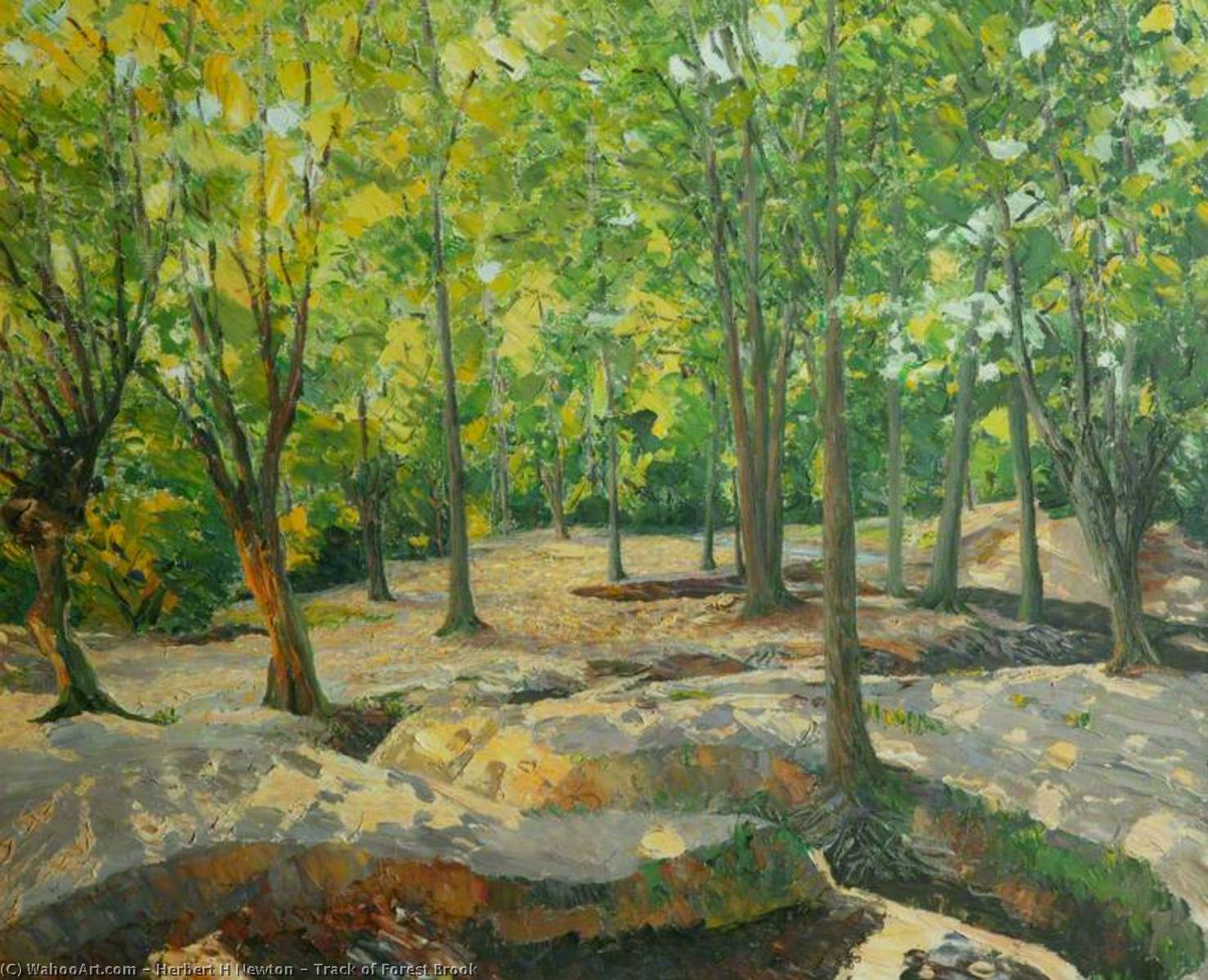 Track Of Forest Brook — Herbert H Newton