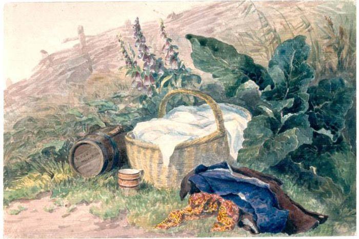 Still Life With Basket, Foxgloves, Clothes — David Cox