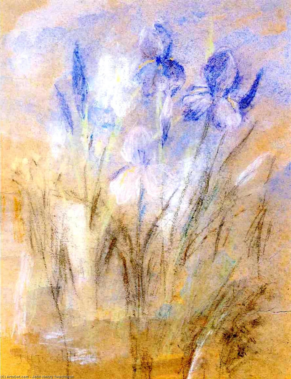 Irises — Джон Генри Твактман