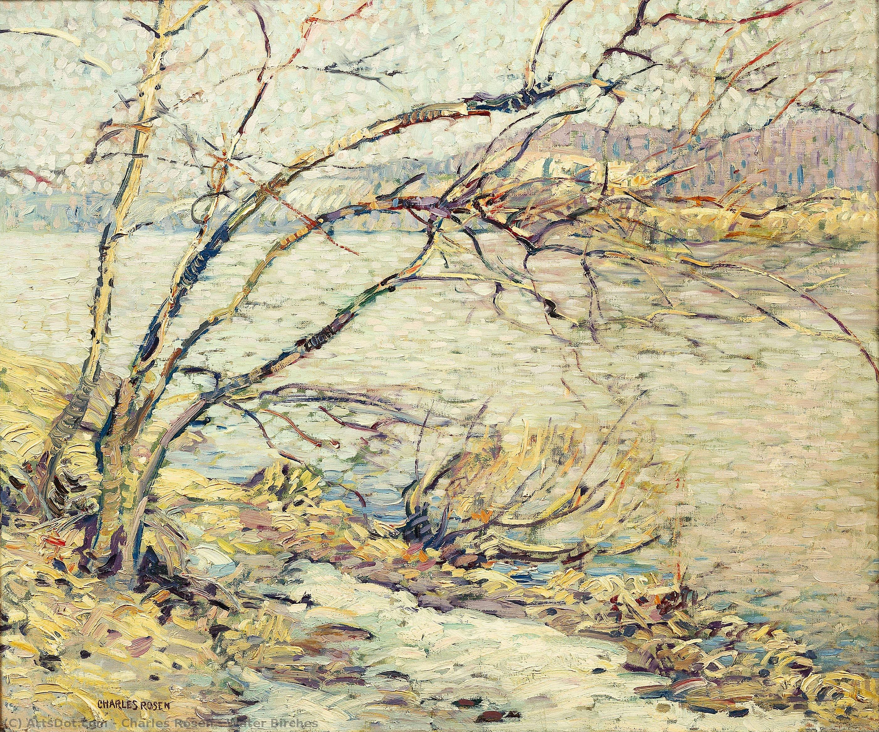 Water Birches — Charles Rosen