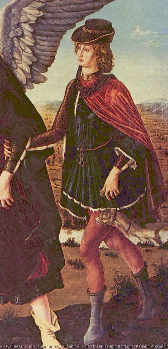 Deutsch Tobias Und Der Engel Italiano Arcangelo Raffaele E Tobiolo — Antonio Del Pollaiuolo