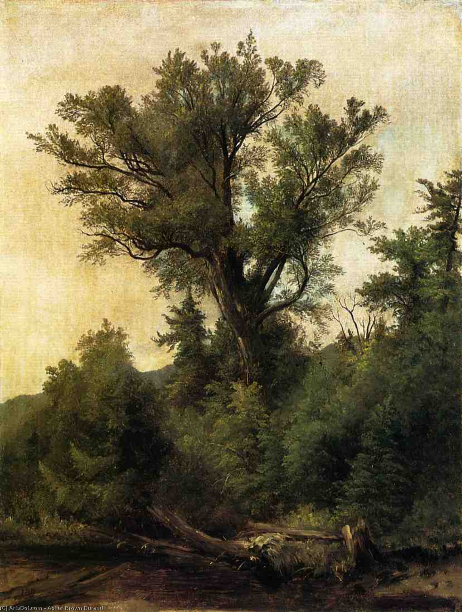 Woodland Stream — Asher Brown Durand