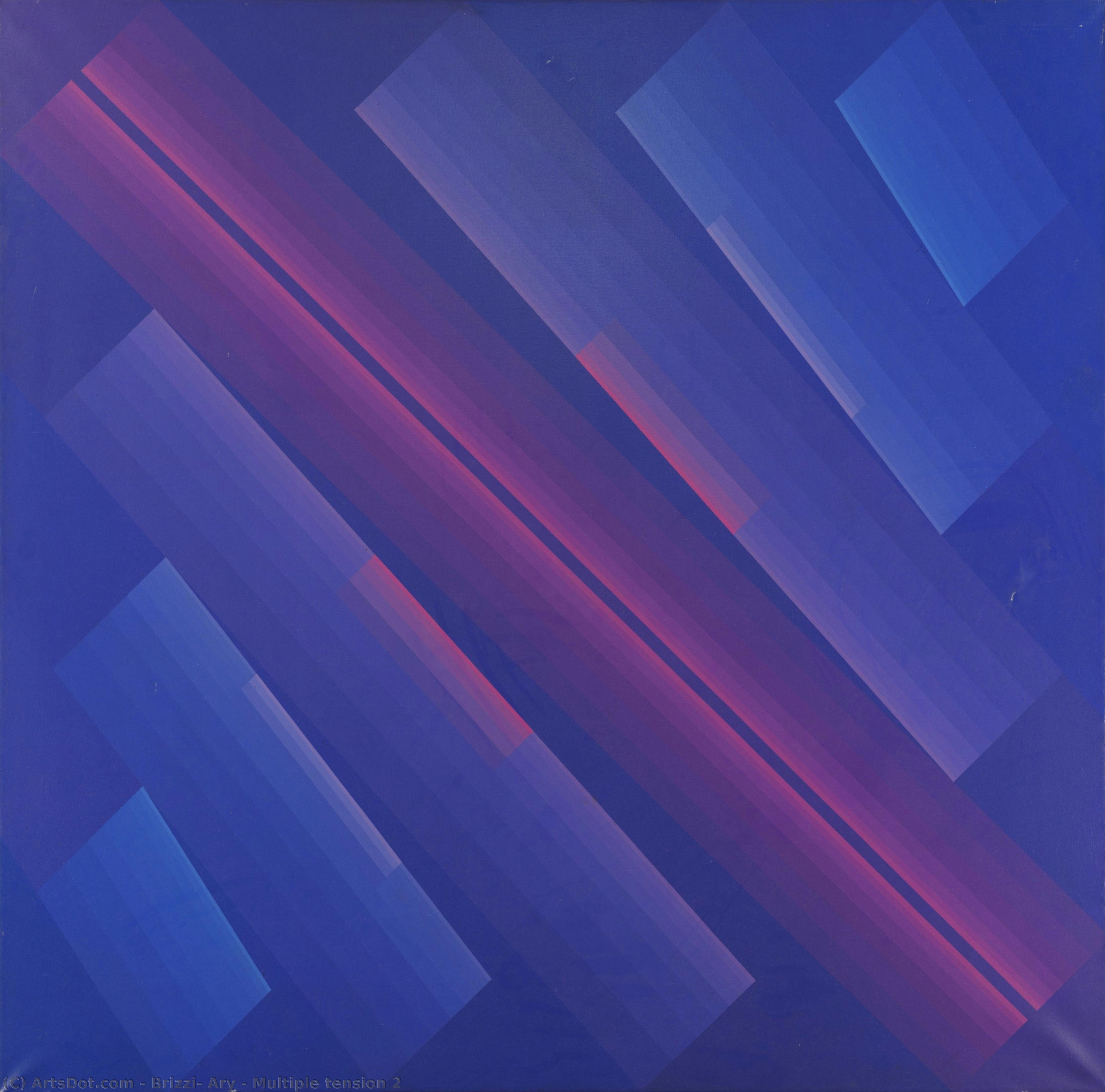 Multiple Tension 2 — Ary Brizzi