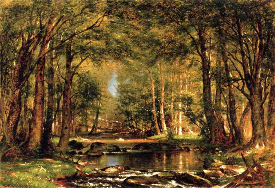 A Catskill Brook — Томас Уортингтон Виттридж
