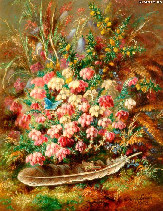 Heather - — Albreht Direr