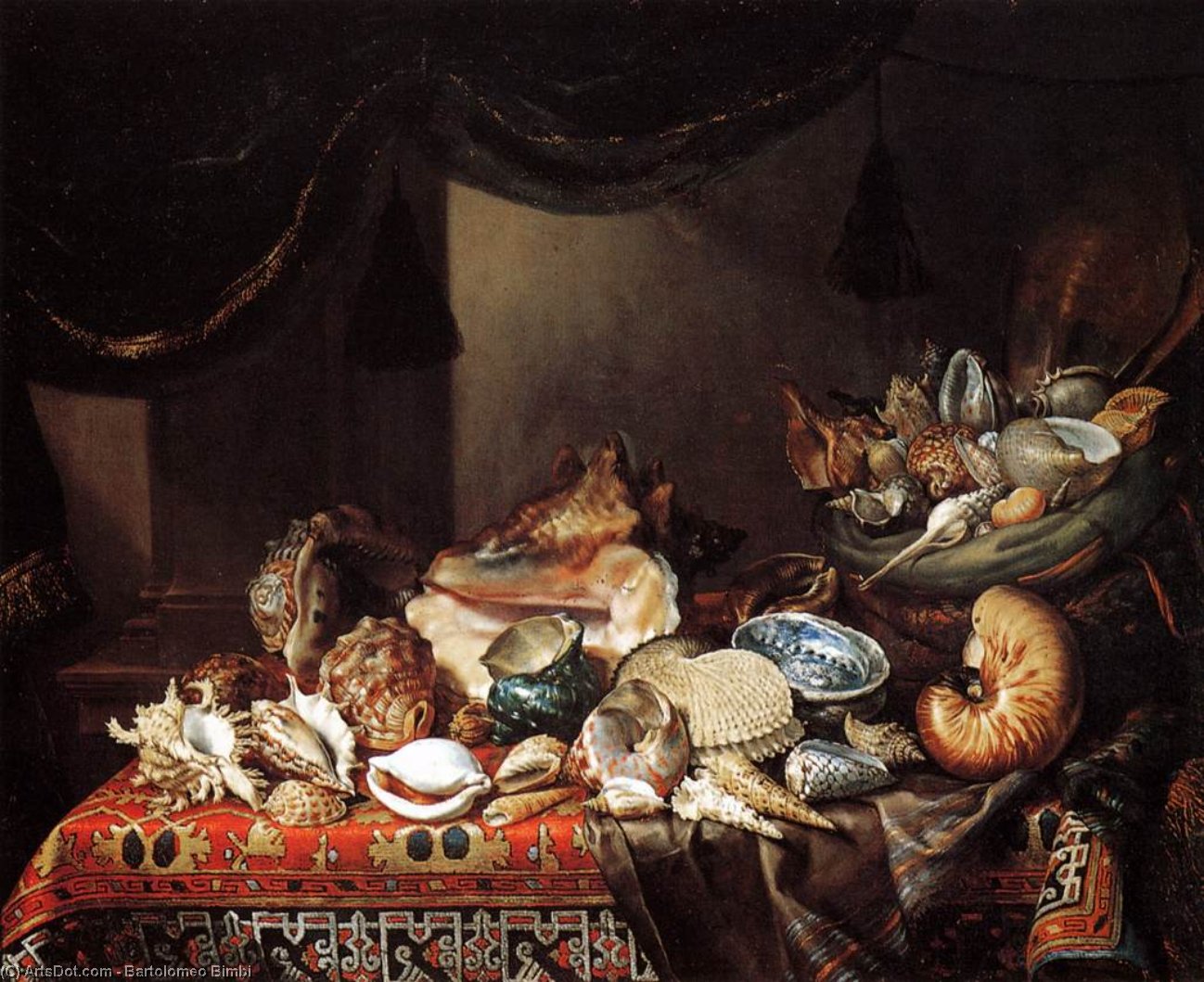 Shells — Bartolomeo Bimbi